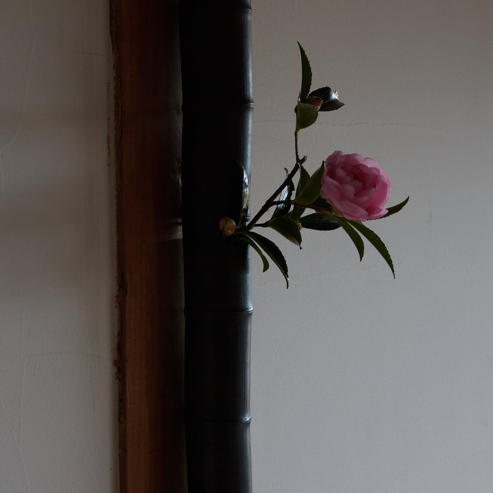 FLORERO COLGANTE DE SUSUDAKE, Período Edo(1603–1867 d. C.)