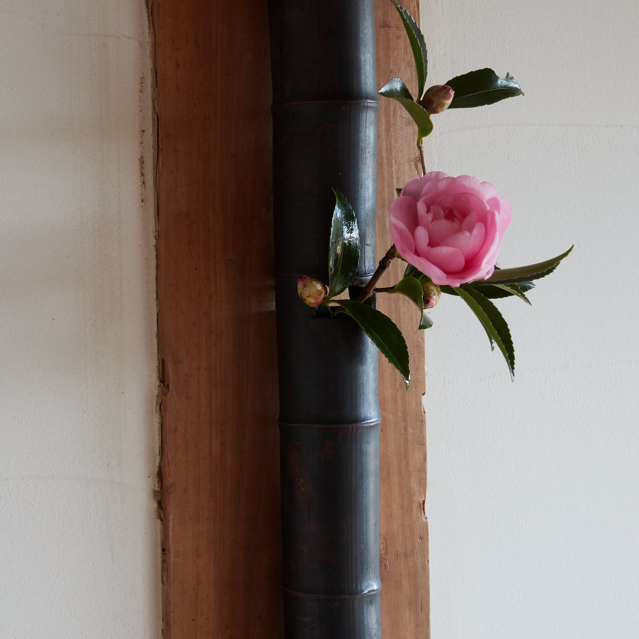 FLORERO COLGANTE DE SUSUDAKE, Período Edo(1603–1867 d. C.)