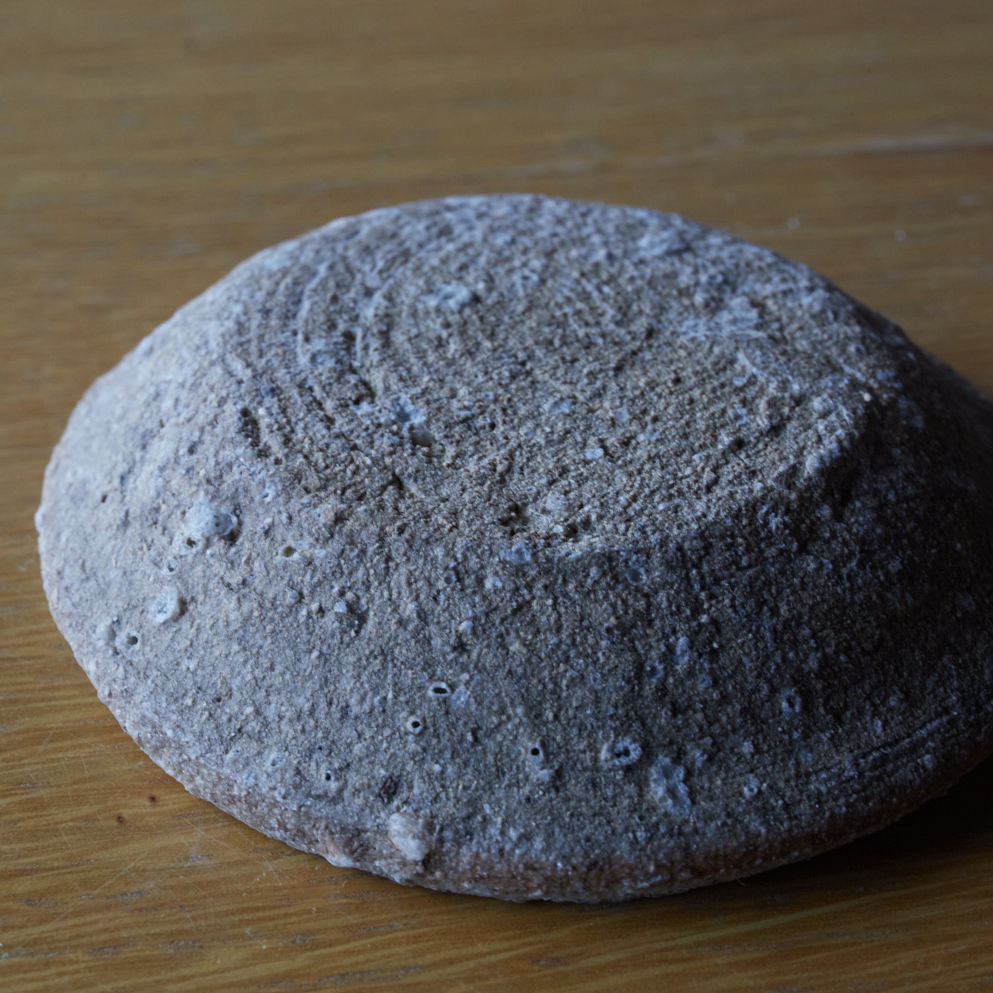 YAMAZARA(PLATO DE MONTAÑA), Ko-Tokoname, Período Kamakura(1185–1333 d. C.)