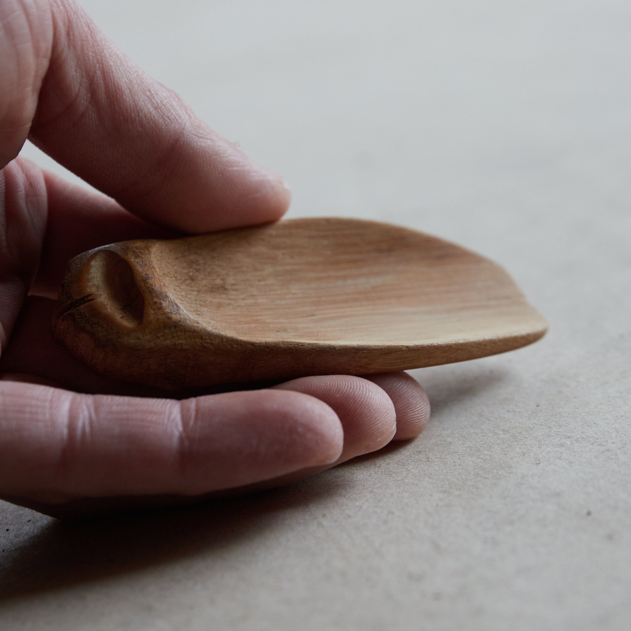 CICADA-SHAPED BAMBOO TEA SCOOP, Meiji Period(1868–1912CE)