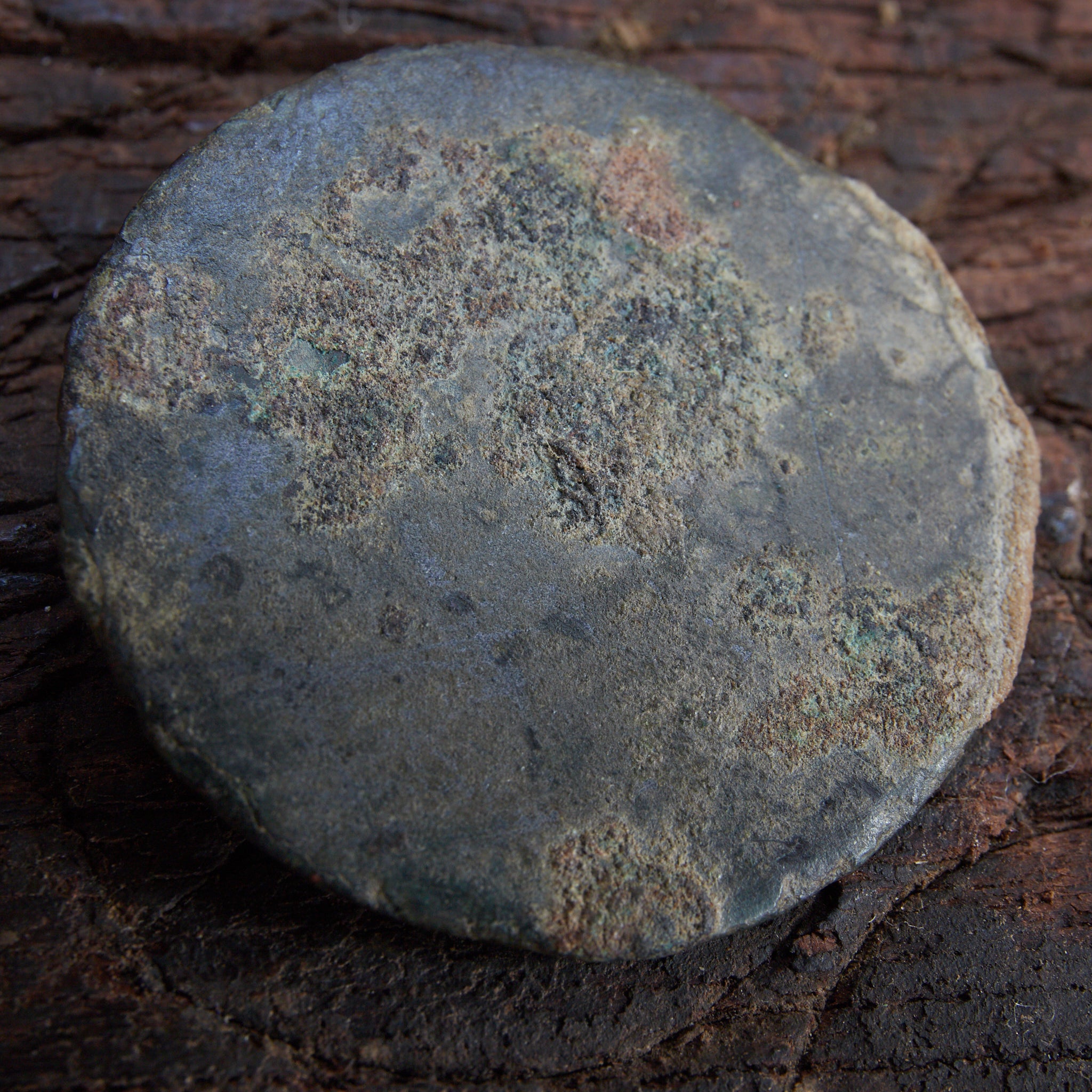 古墳時代 内行花文鏡(250–581CE)|詳細画像14