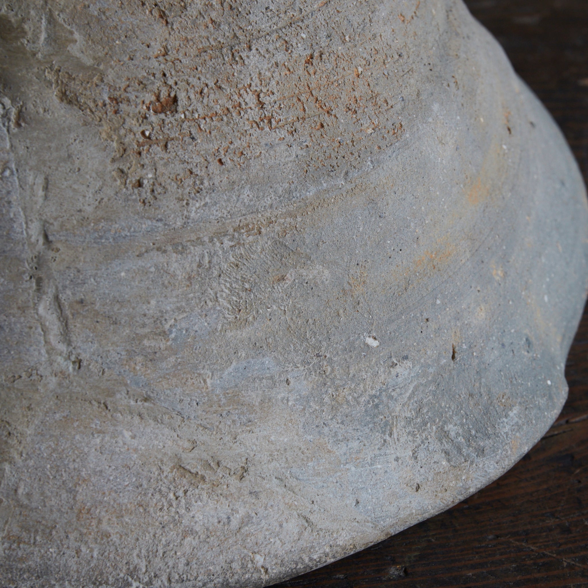 CUENCO CON PICO GRANDE, Sanage, Período Kamakura(1185–1333 d. C.)