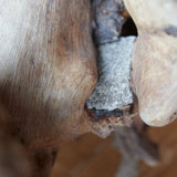 石喰みの地中瘤のオブジェ 大 奈良時代/710-794CE