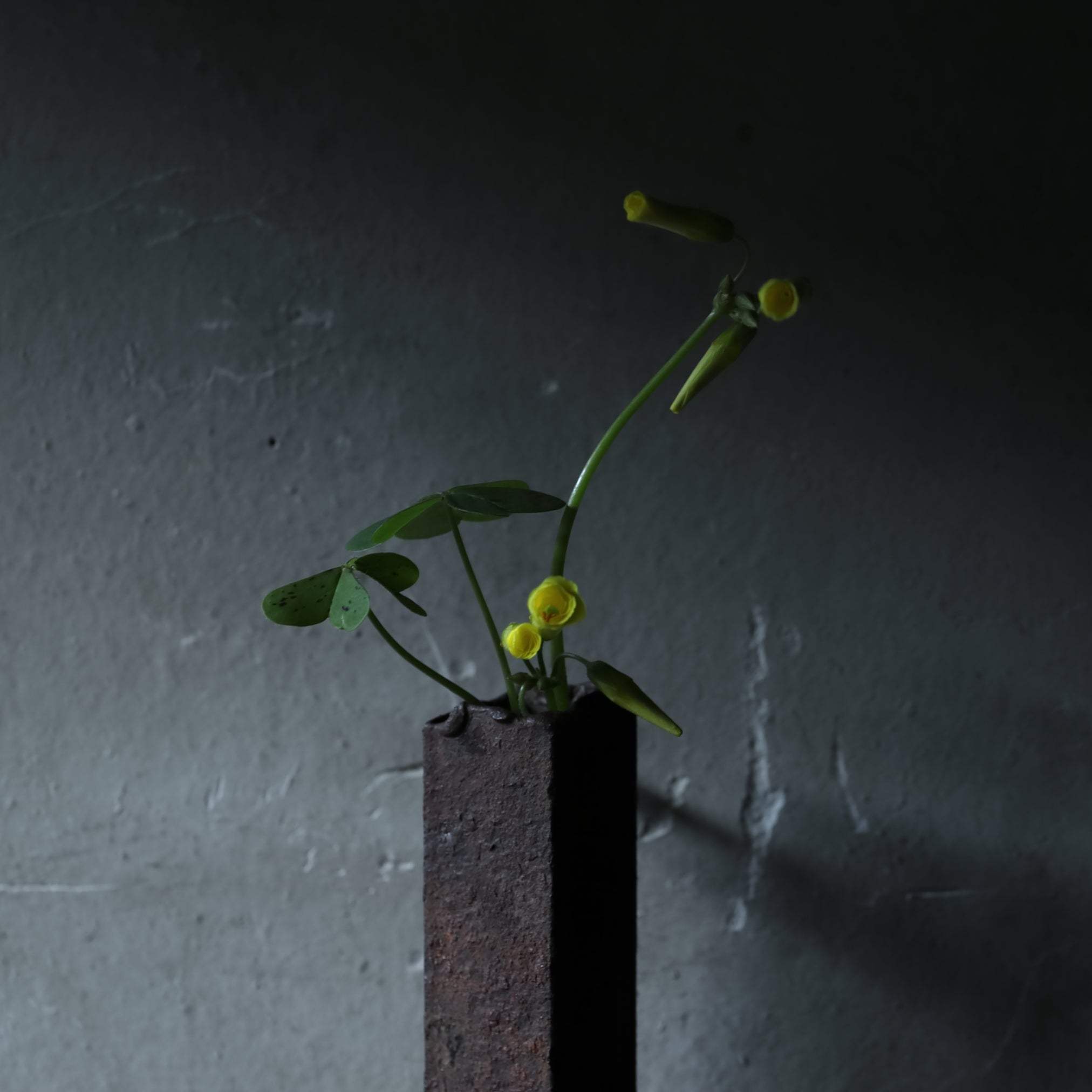 FLORERO COLGANTE DE HIERRO VIEJO