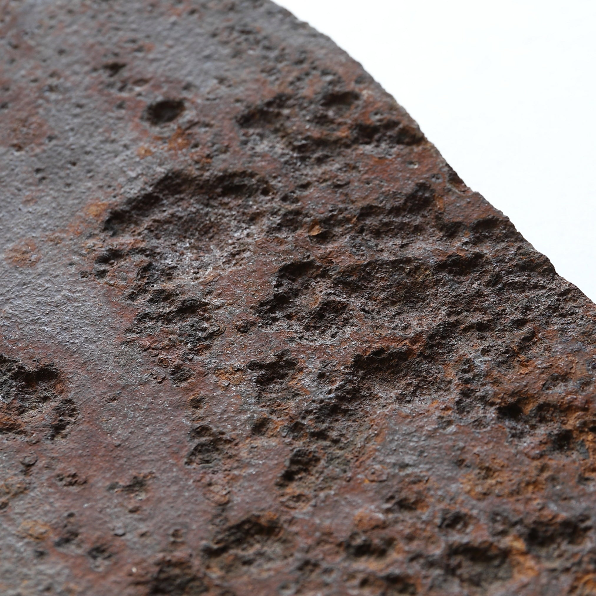 OLD IRON FLOWER STAND(fragment)