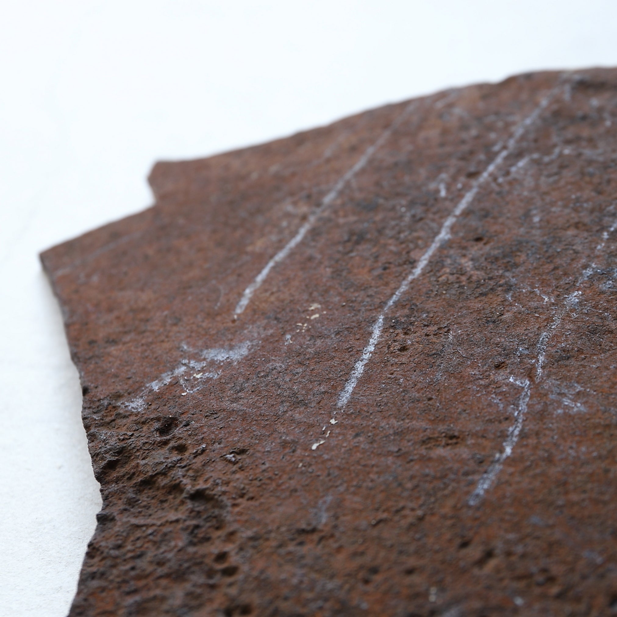 OLD IRON FLOWER STAND(fragment)