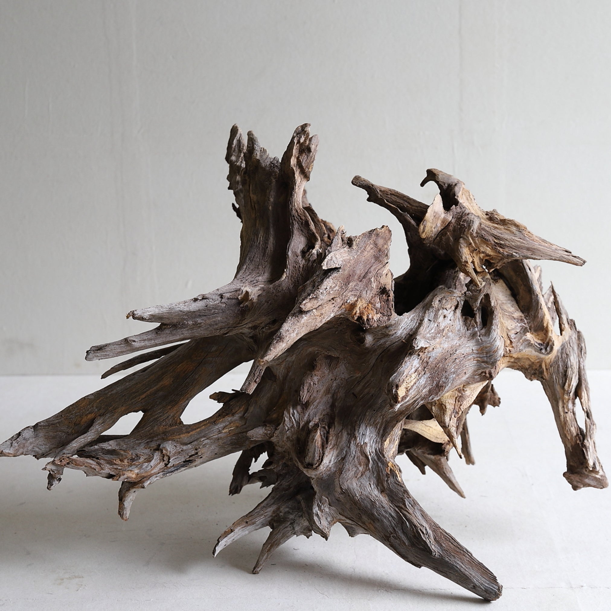 DRIFTWOOD