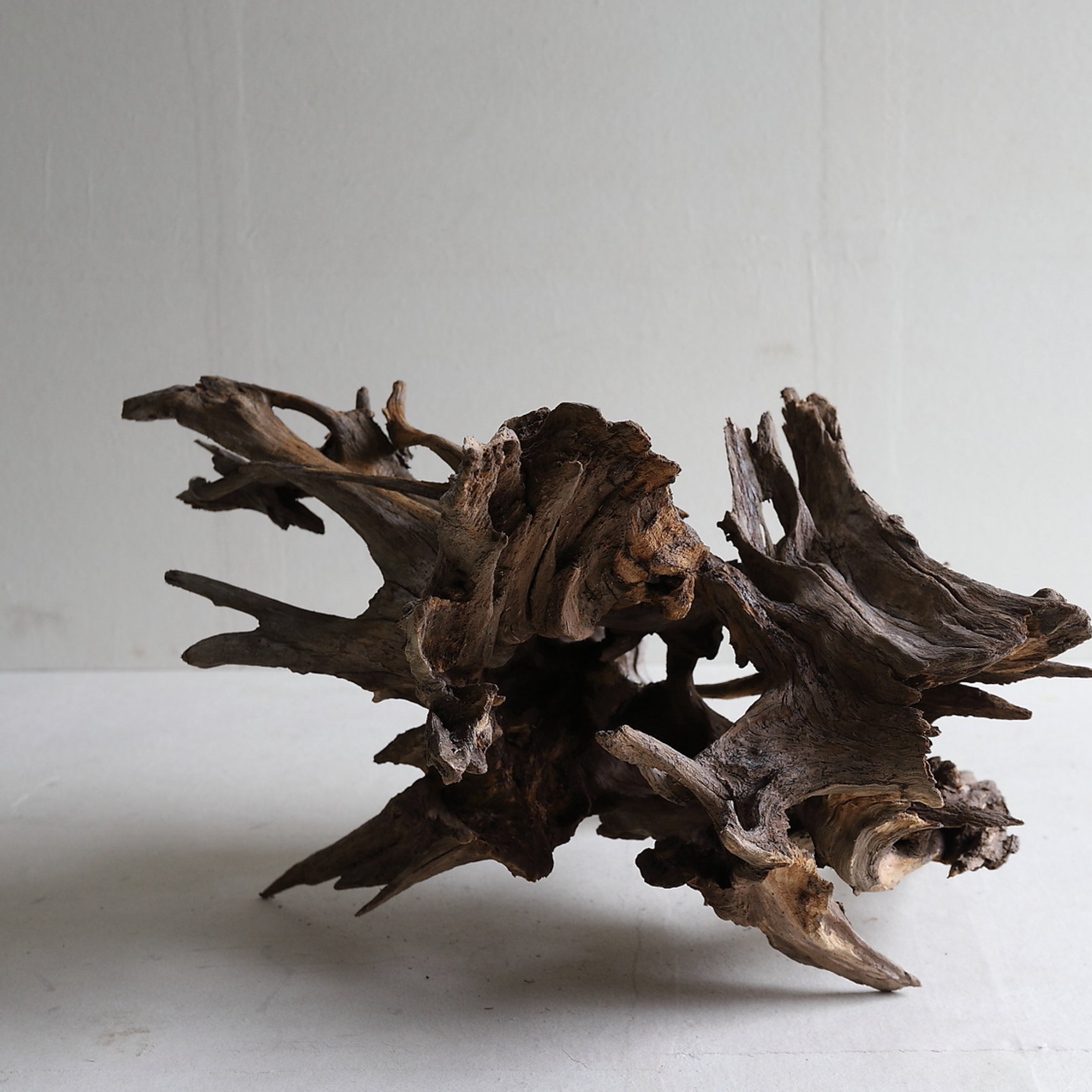DRIFTWOOD