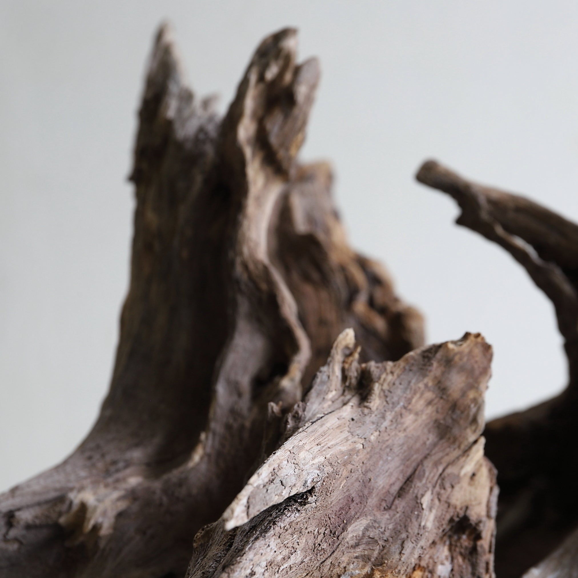 DRIFTWOOD