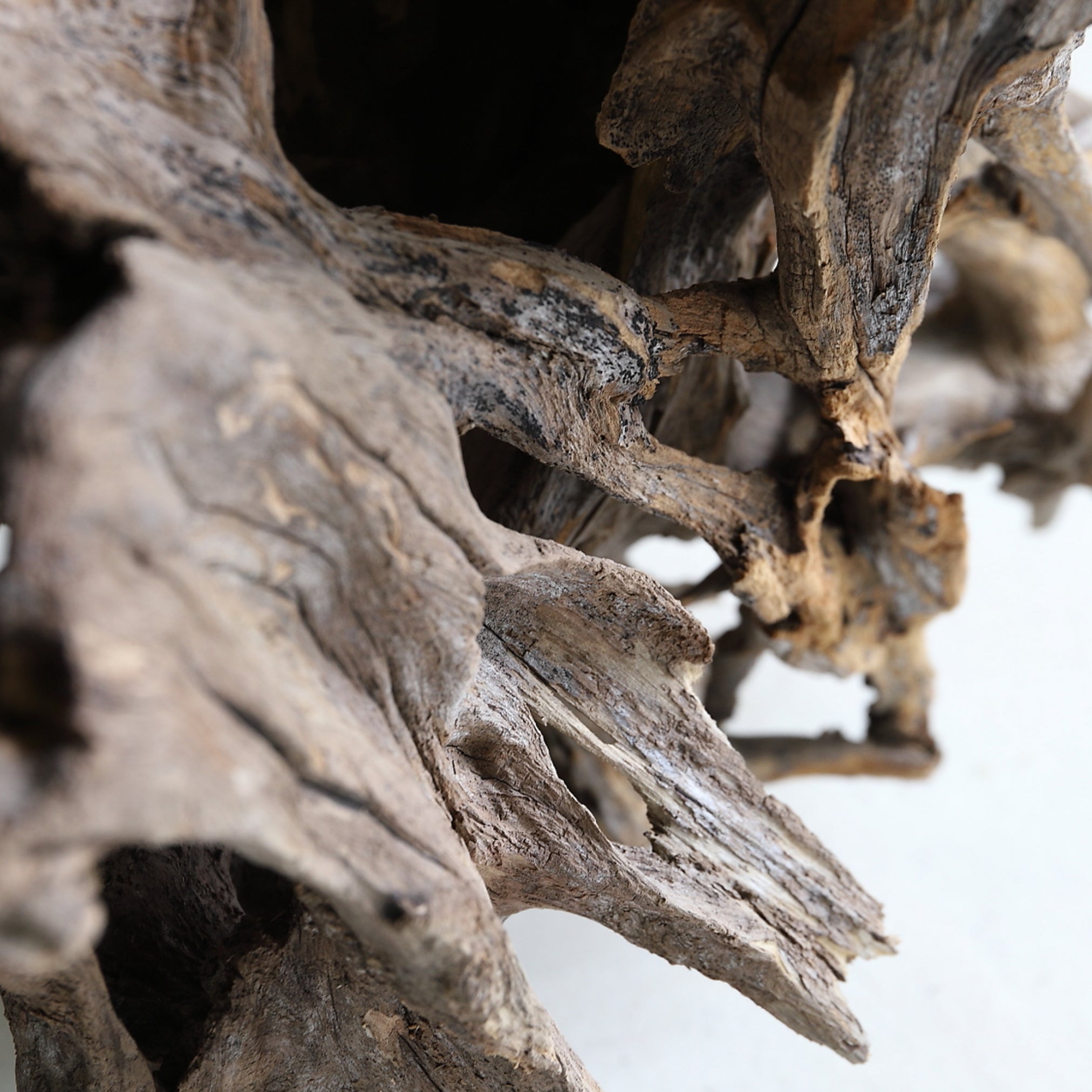 DRIFTWOOD