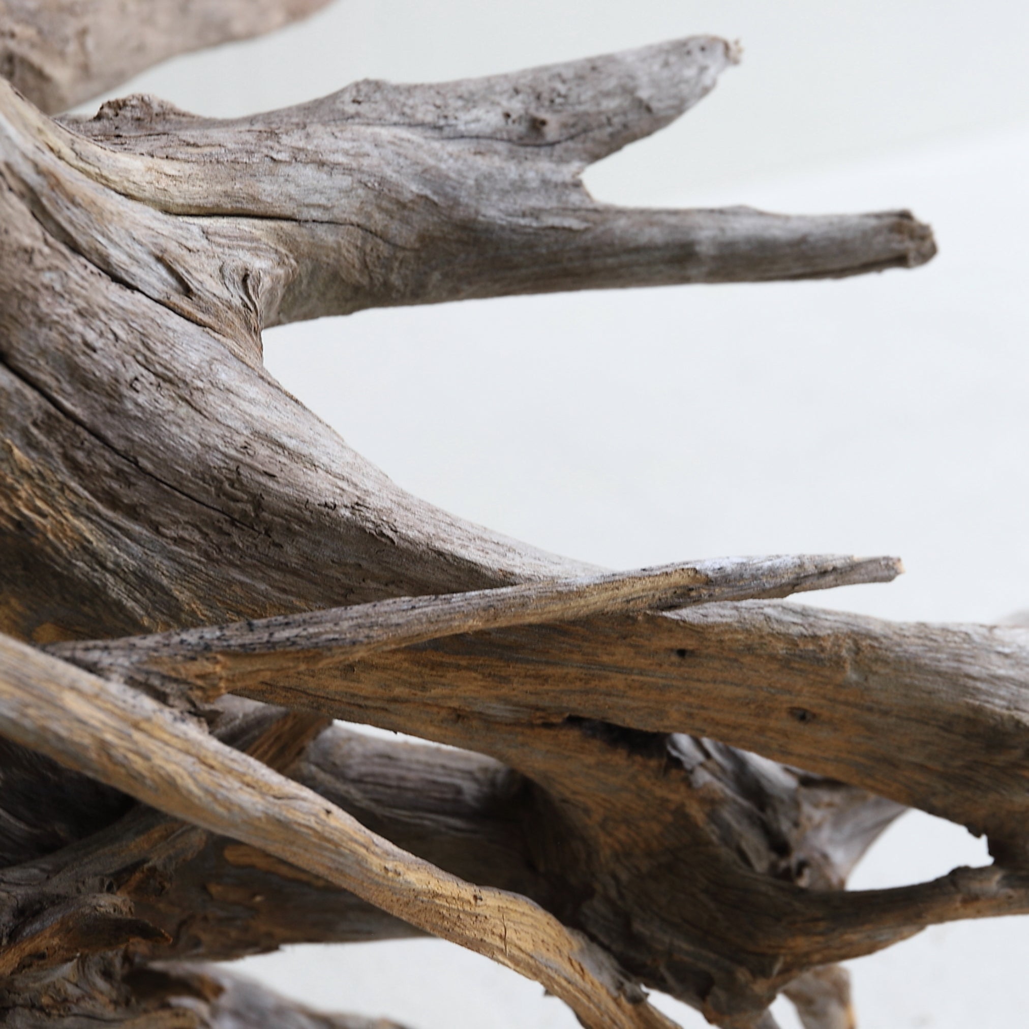 DRIFTWOOD