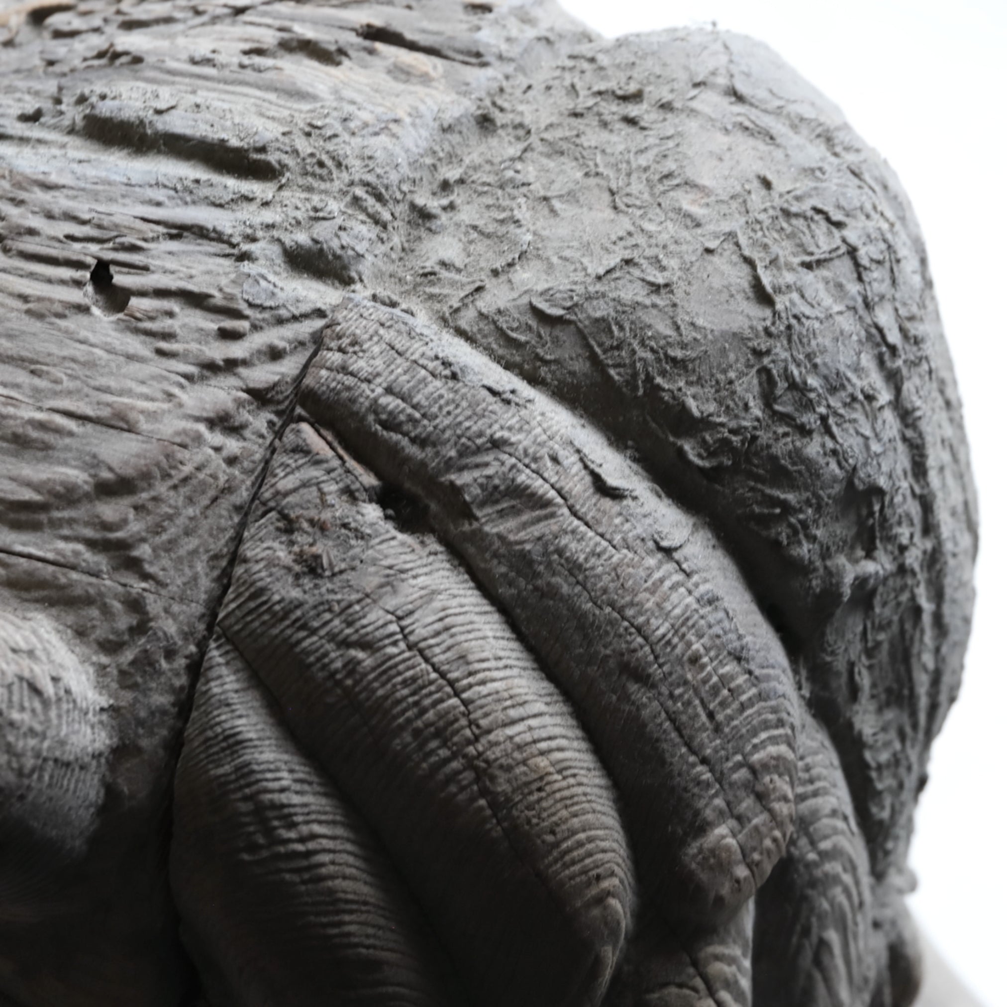 , Avec lion, paire, Période Kamakura(1185–1333 apr. J.-C.)