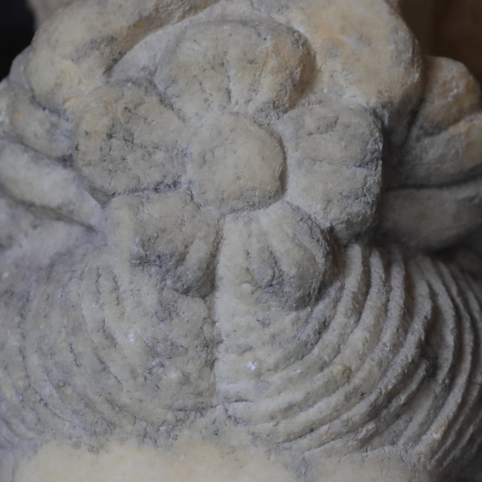 北齊白玉佛首(古代, 西元3–12世紀)