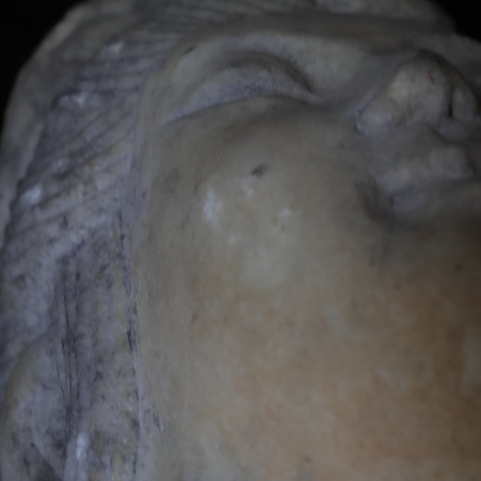 北齊白玉佛首(古代, 西元3–12世紀)