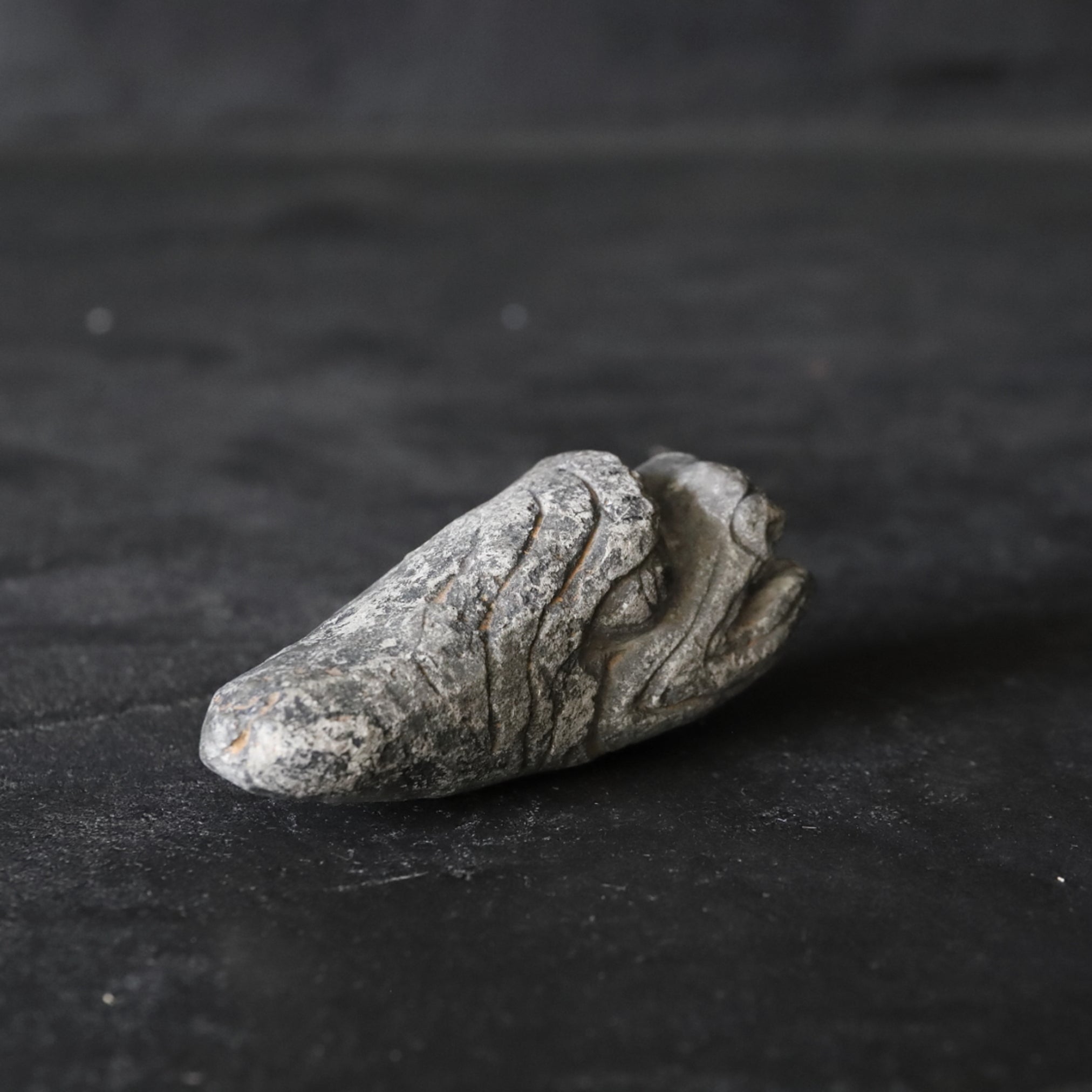 STONE DRAGON-HEAD ORNAMENT, Joseon Dynasty(1392–1897CE)