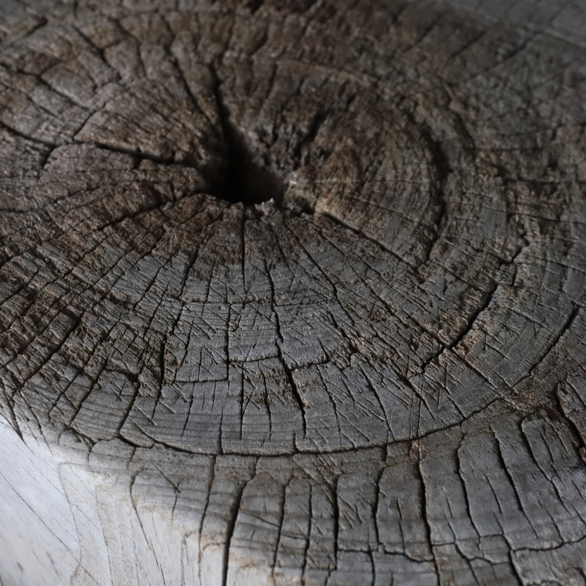 DE BLOQUE DE MADERA, Material antiguo, Edad Moderna Temprana(Siglos XVI–XIX)