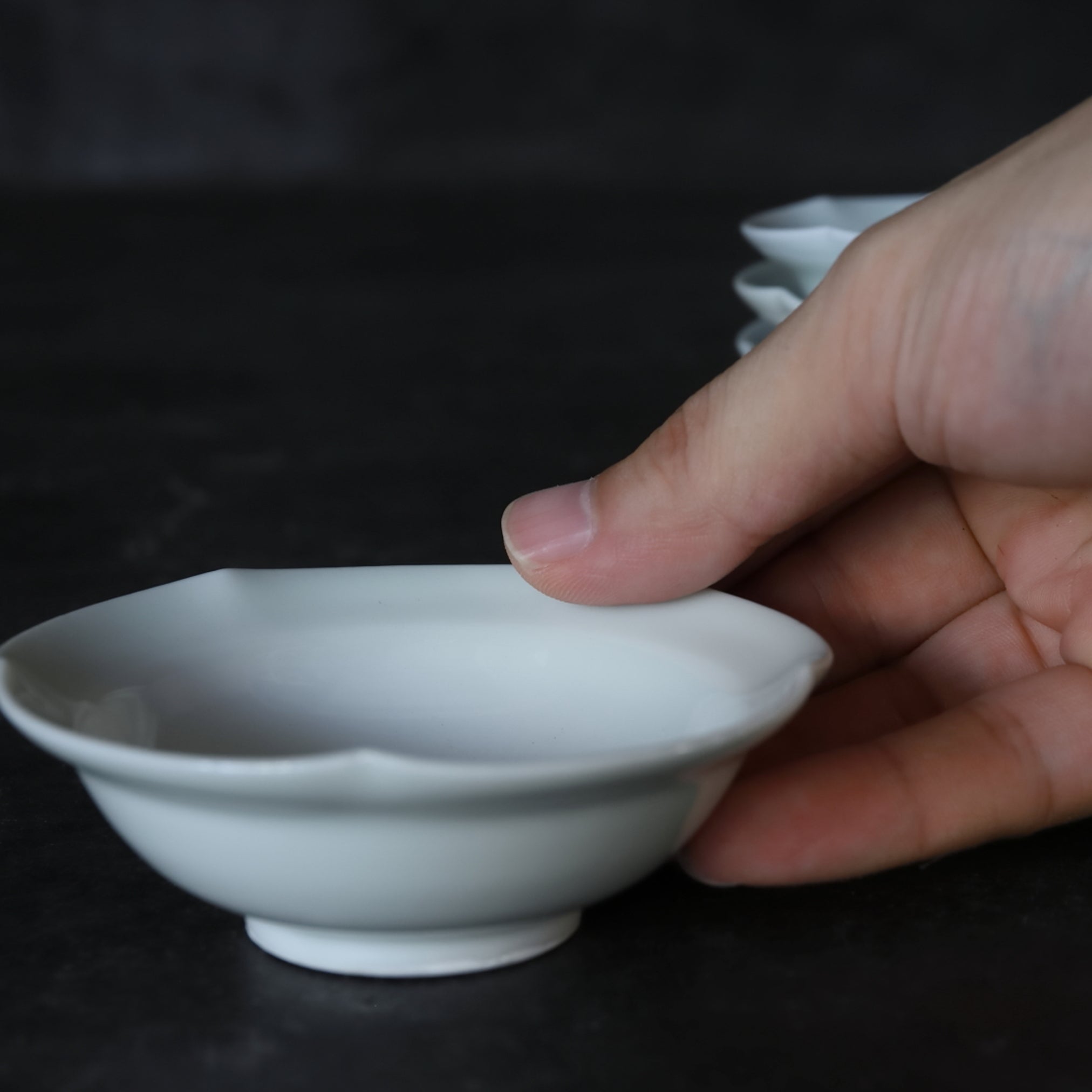 BOL / PLAT À DOUCEURS, Porcelaine blanche rebord fleuri, ensemble de 5