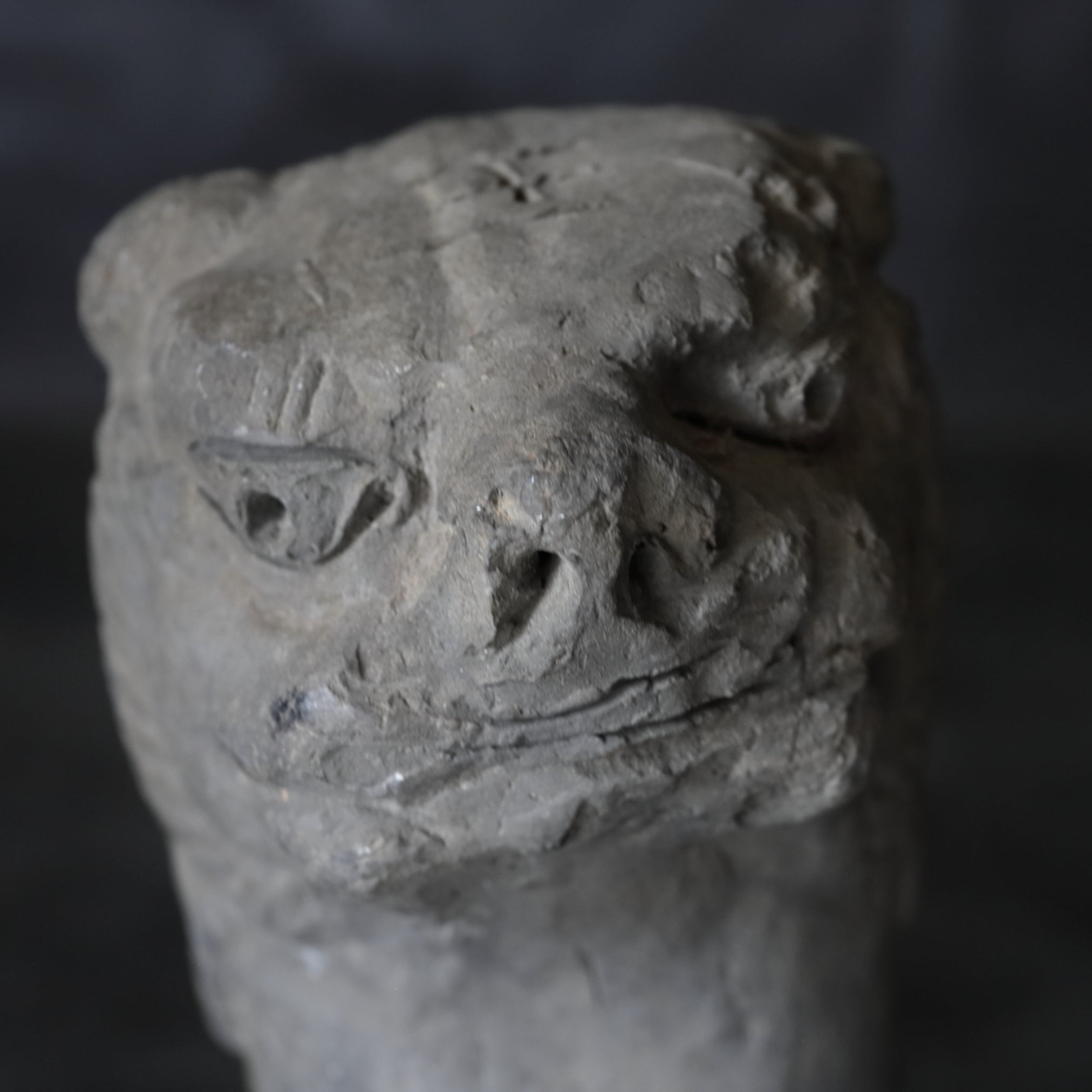 LEÓN DE TEJADO, Dinastía Ming–Qing(1368–1911 d. C.)