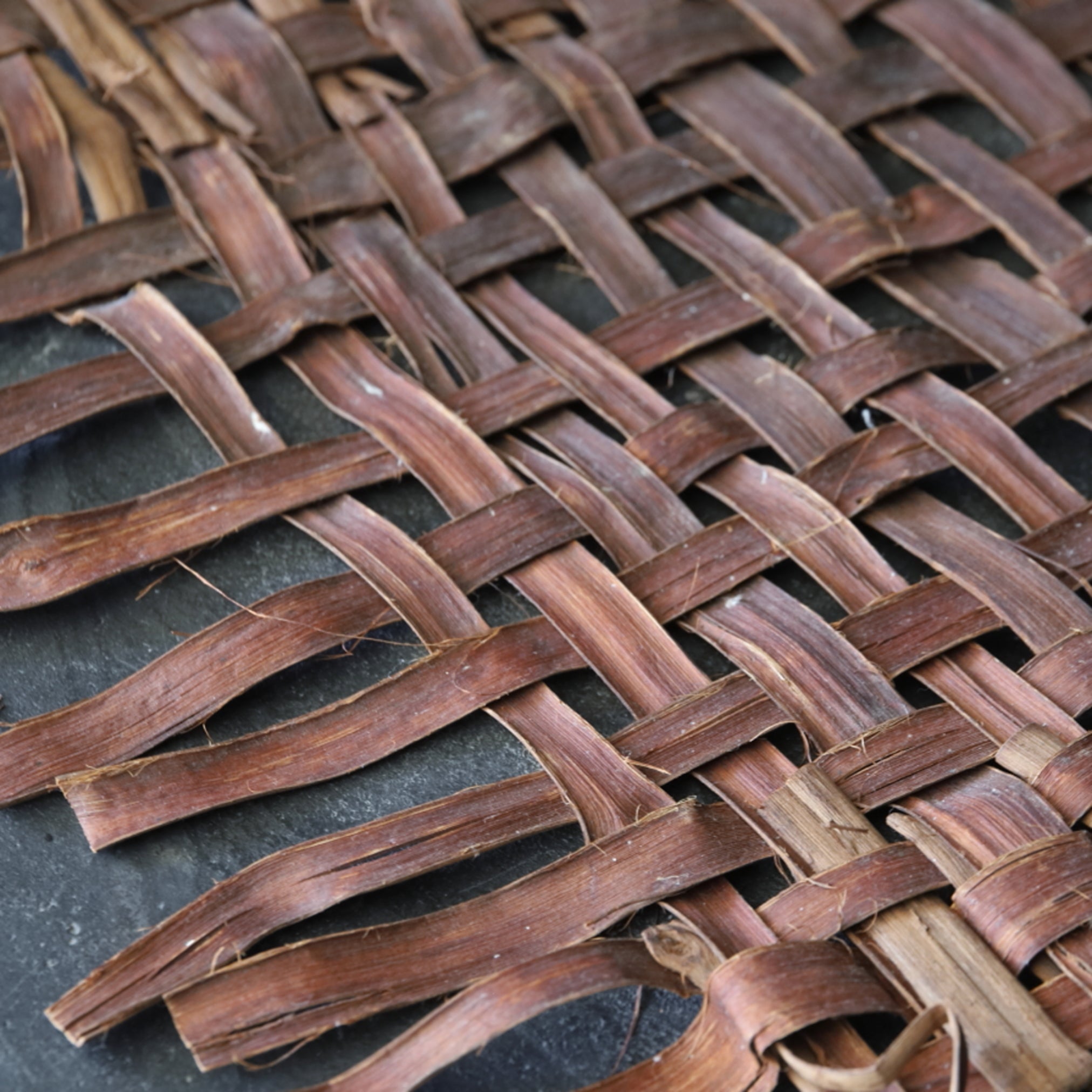 OLD WILD GRAPE WOVEN OBJECT / WALL HANGING
