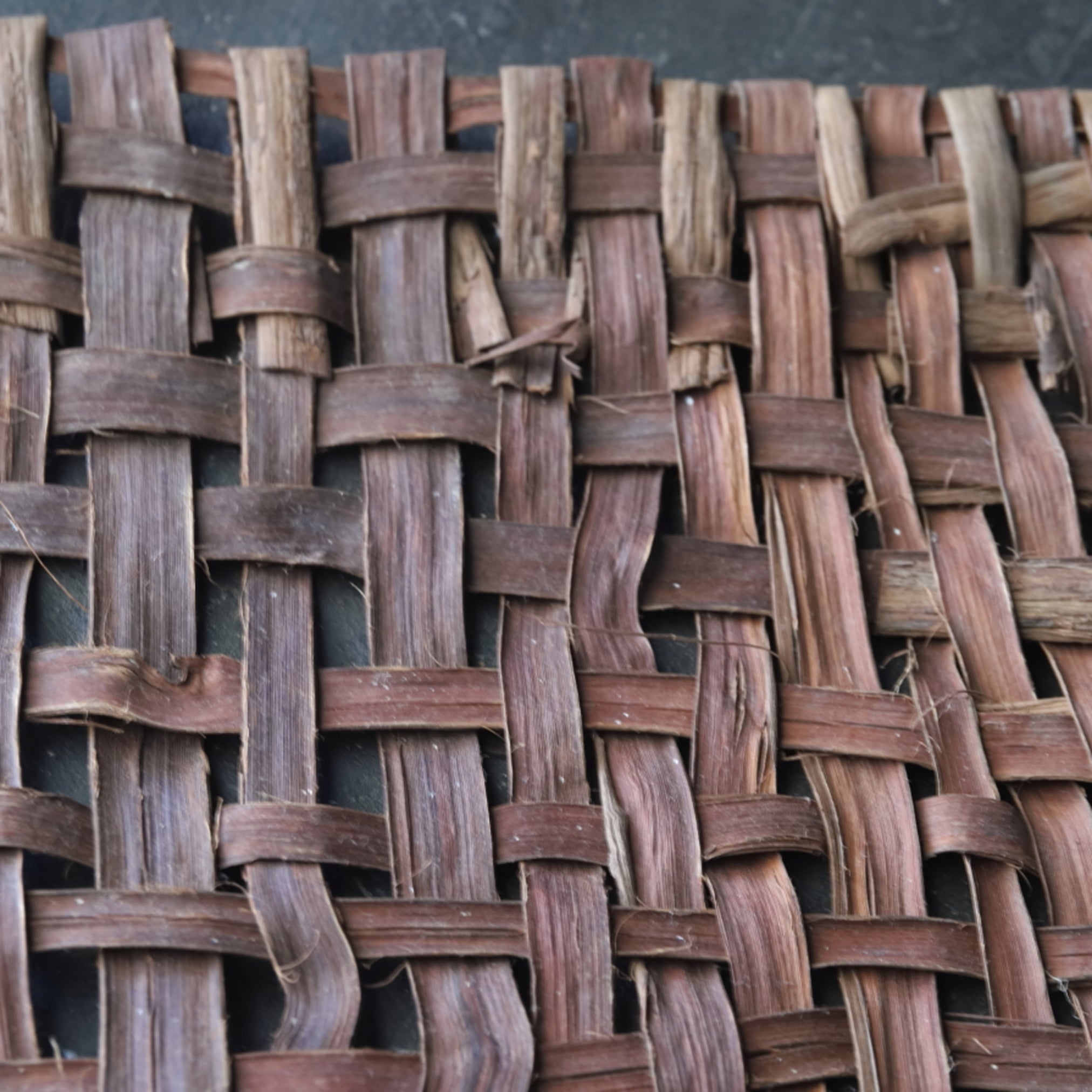 OLD WILD GRAPE WOVEN OBJECT / WALL HANGING