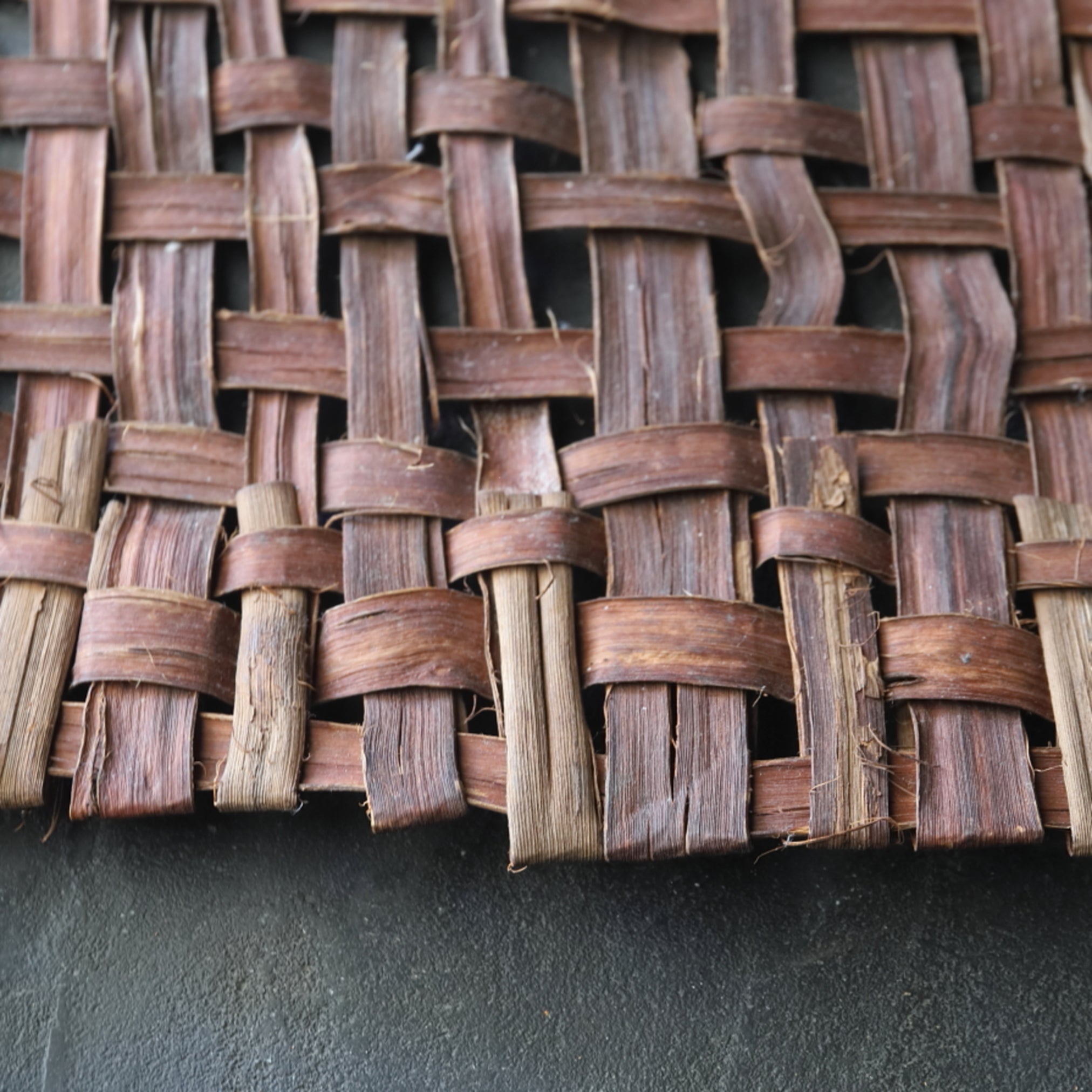 OLD WILD GRAPE WOVEN OBJECT / WALL HANGING