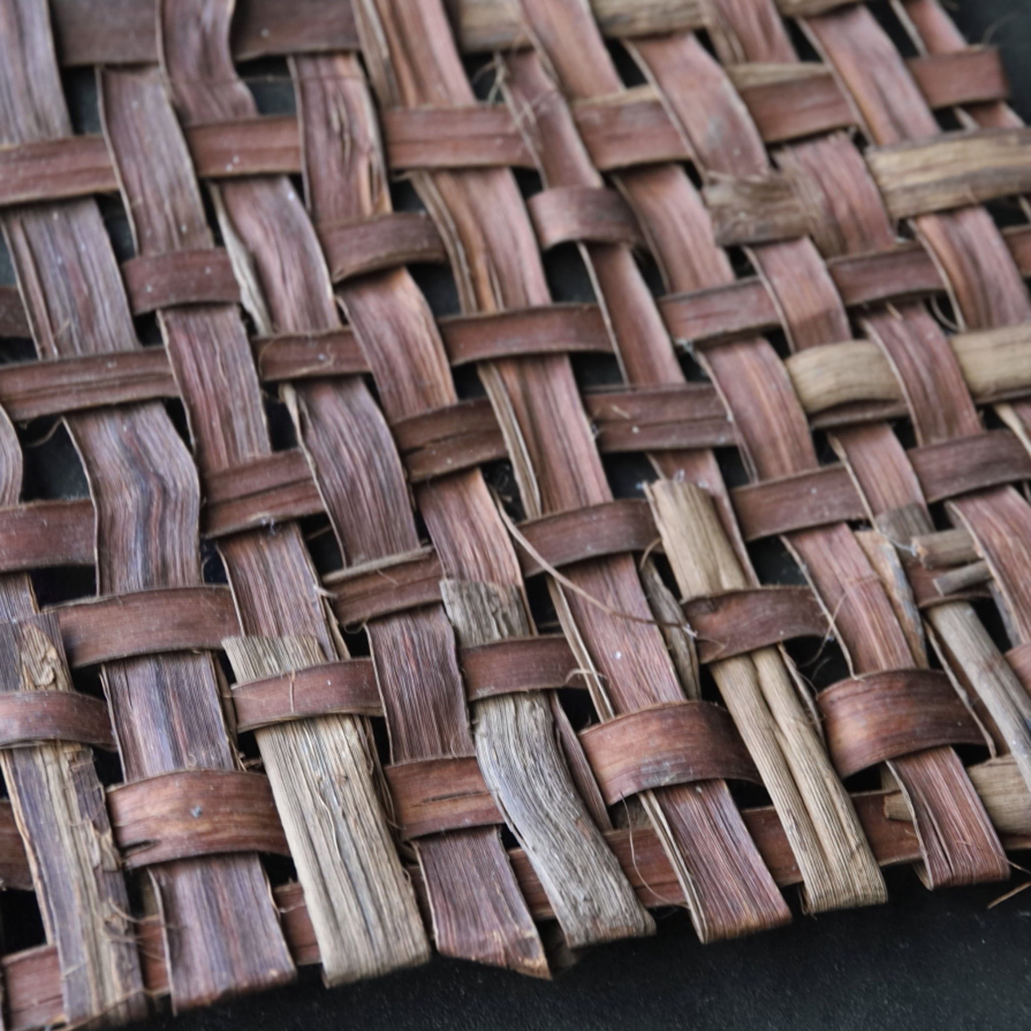 OLD WILD GRAPE WOVEN OBJECT / WALL HANGING