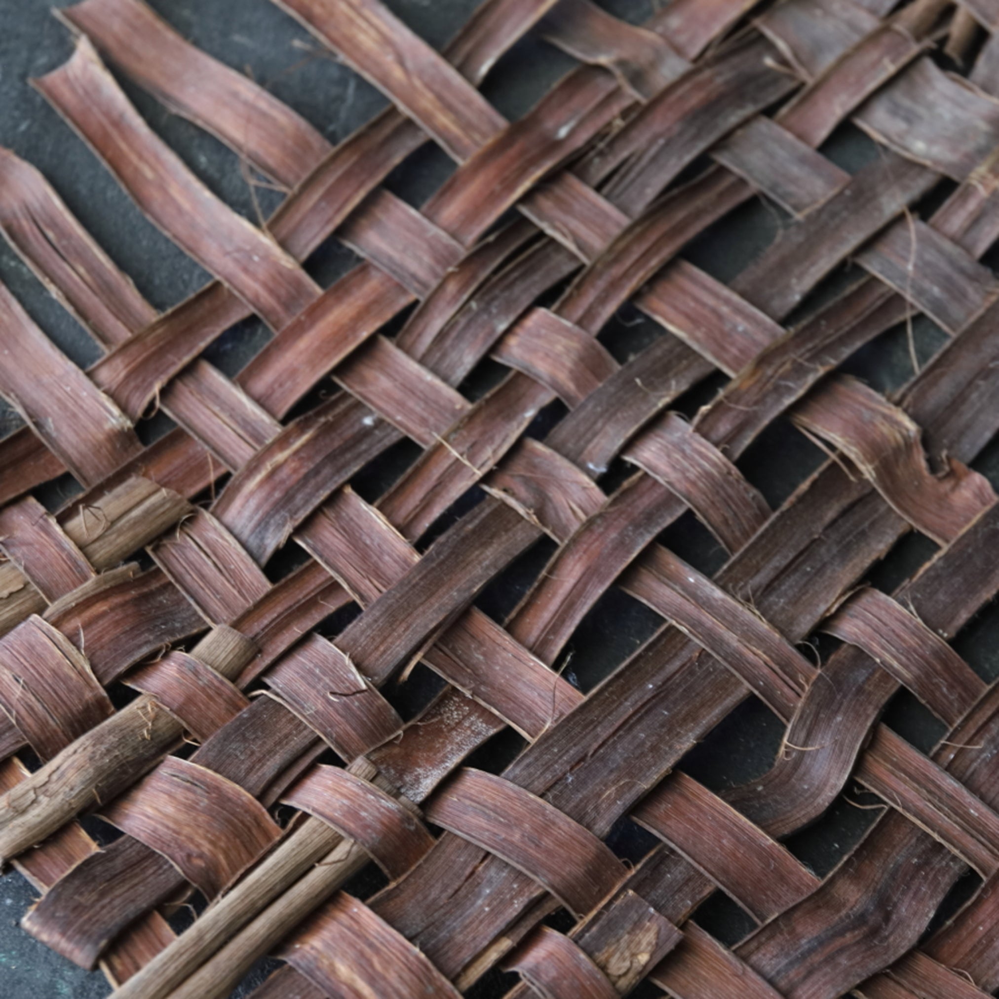 OLD WILD GRAPE WOVEN OBJECT / WALL HANGING