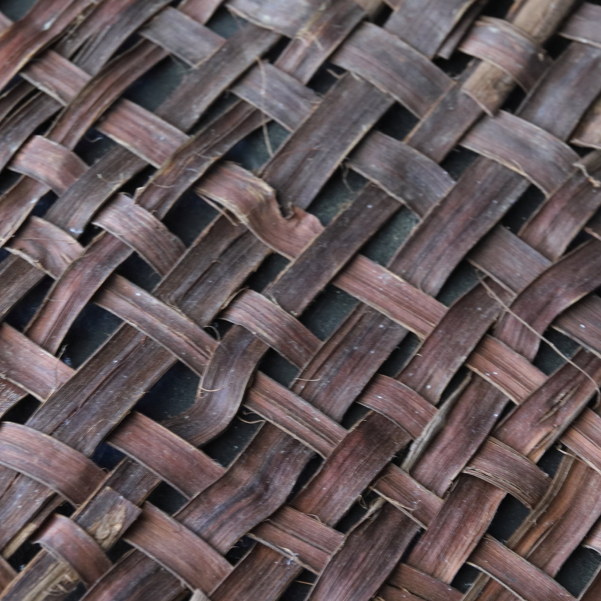 OLD WILD GRAPE WOVEN OBJECT / WALL HANGING