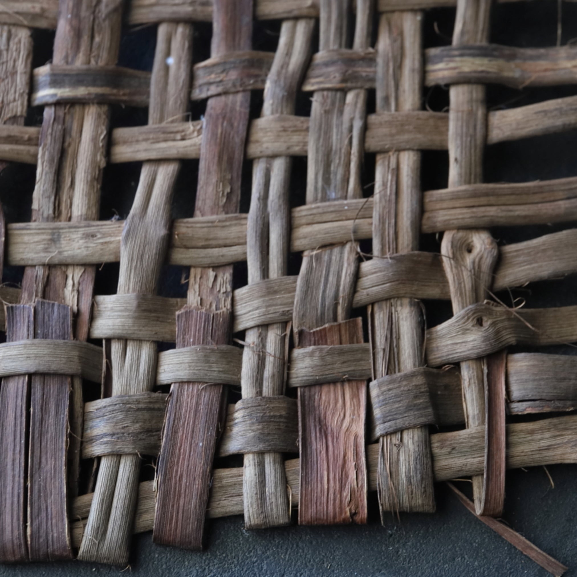 OLD WILD GRAPE WOVEN OBJECT / WALL HANGING