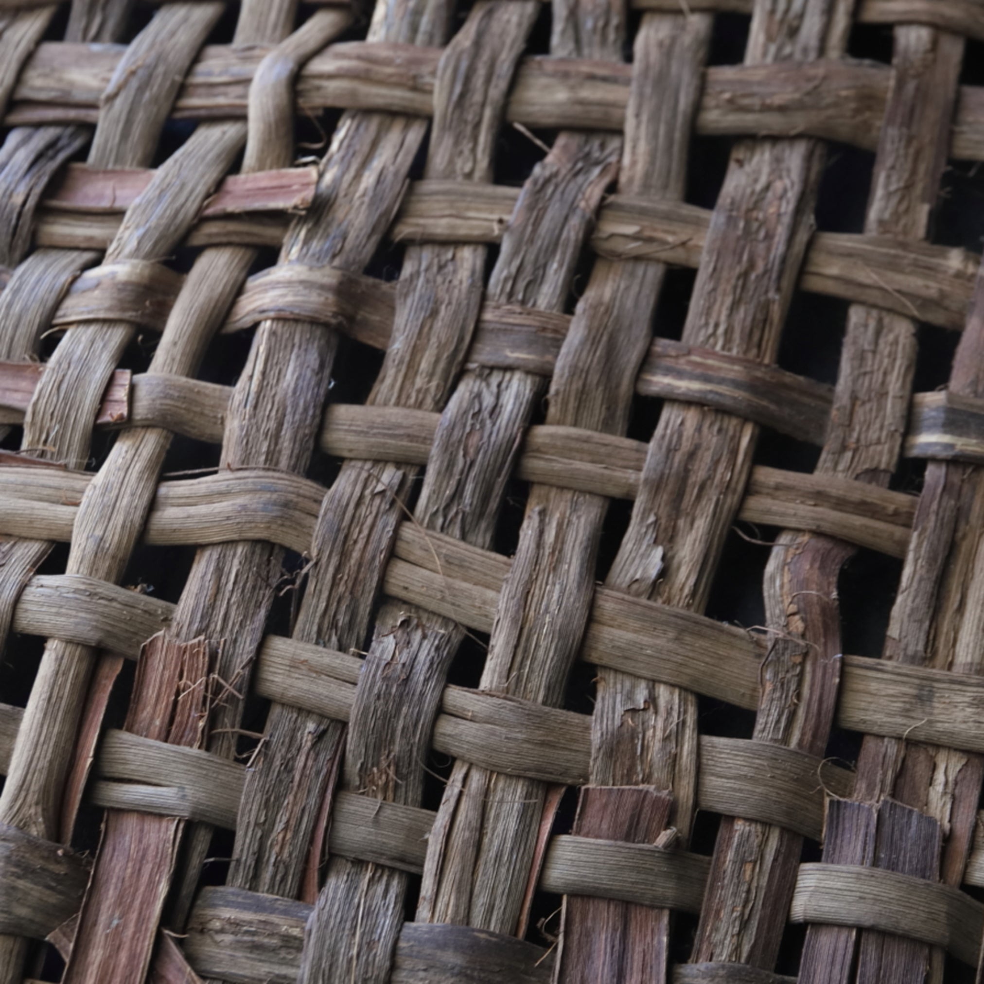 OLD WILD GRAPE WOVEN OBJECT / WALL HANGING