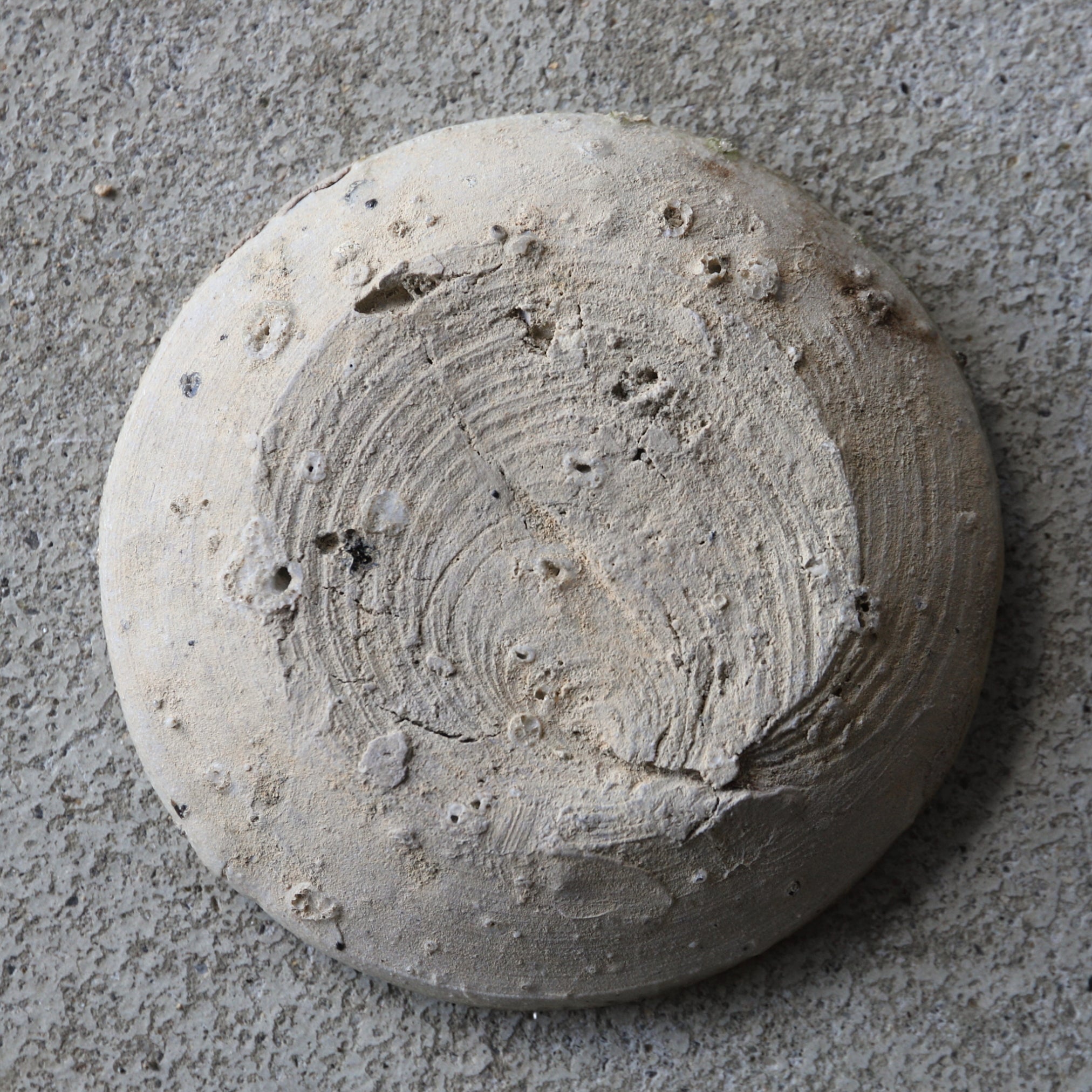 古濑户山皿 5件套(镰仓时代, 公元1185年–1333年)