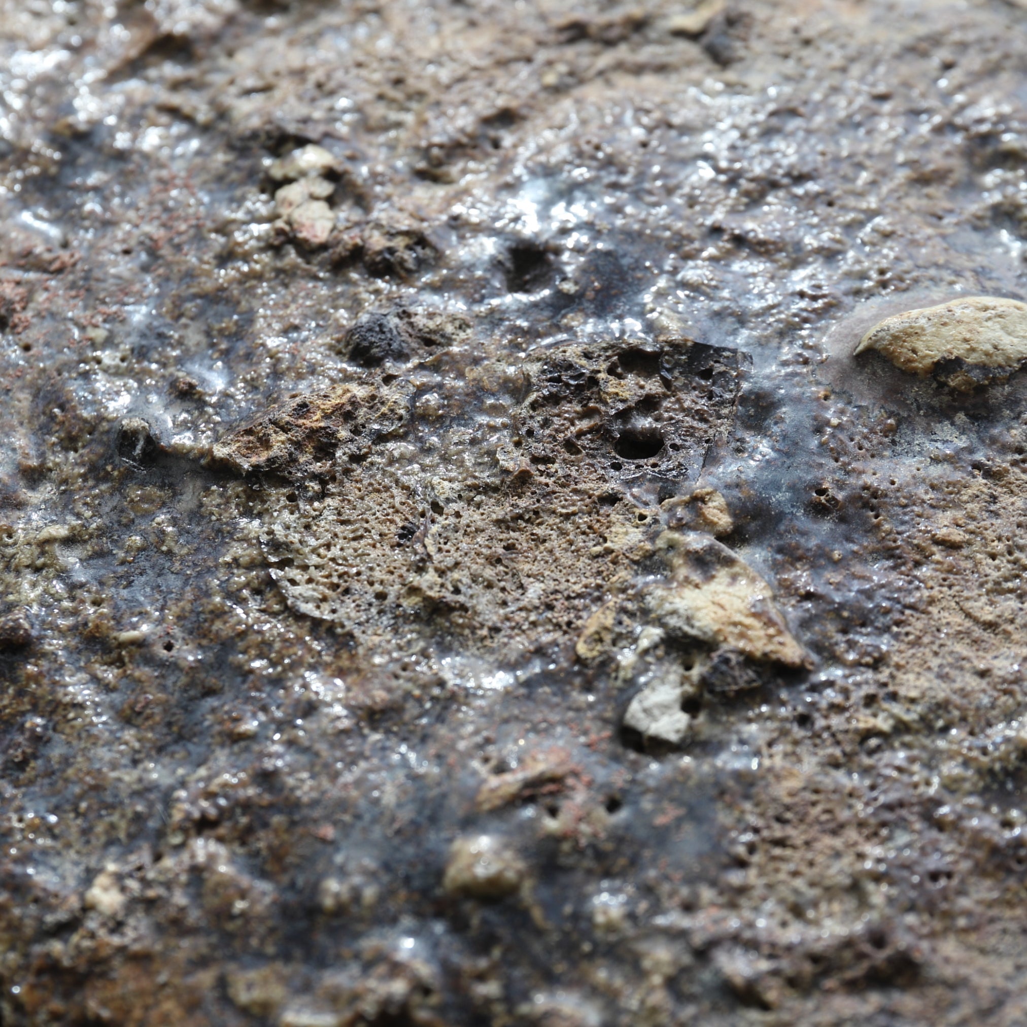 PLATO PLACA DE CERÁMICA, Ko-Karatsu / Herramienta de horno, b
