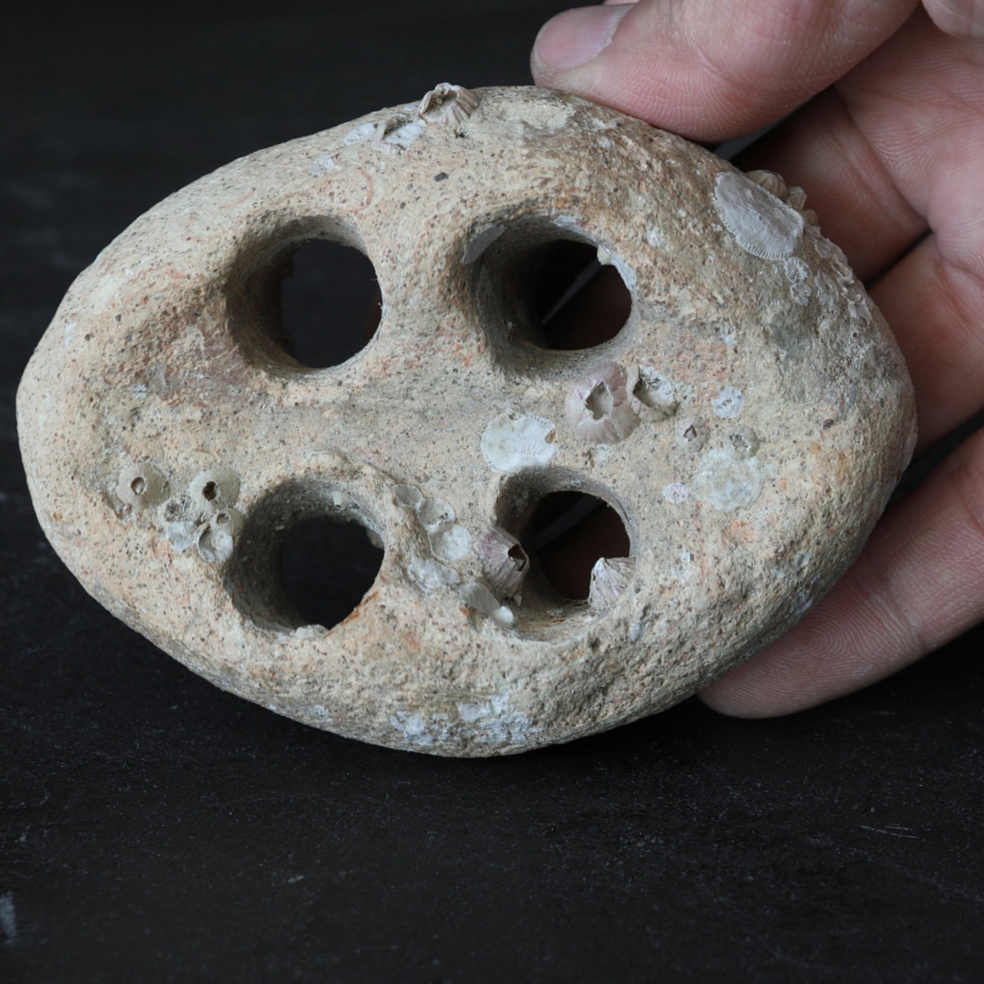 PERFORATED DISCOIDAL OBJET, Earthenware, Sea-recovered, Mitate(flower holder), Jomon Period(10000–300BCE)