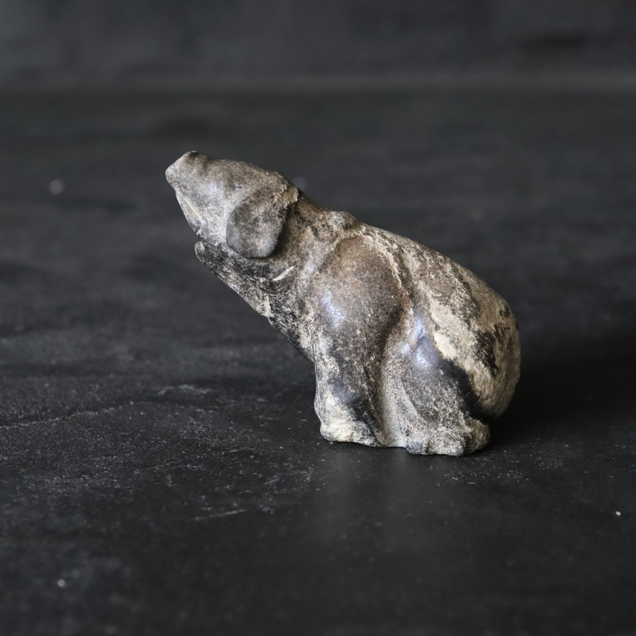 STONE PIG FIGURINE, Joseon Dynasty(1392–1897CE)
