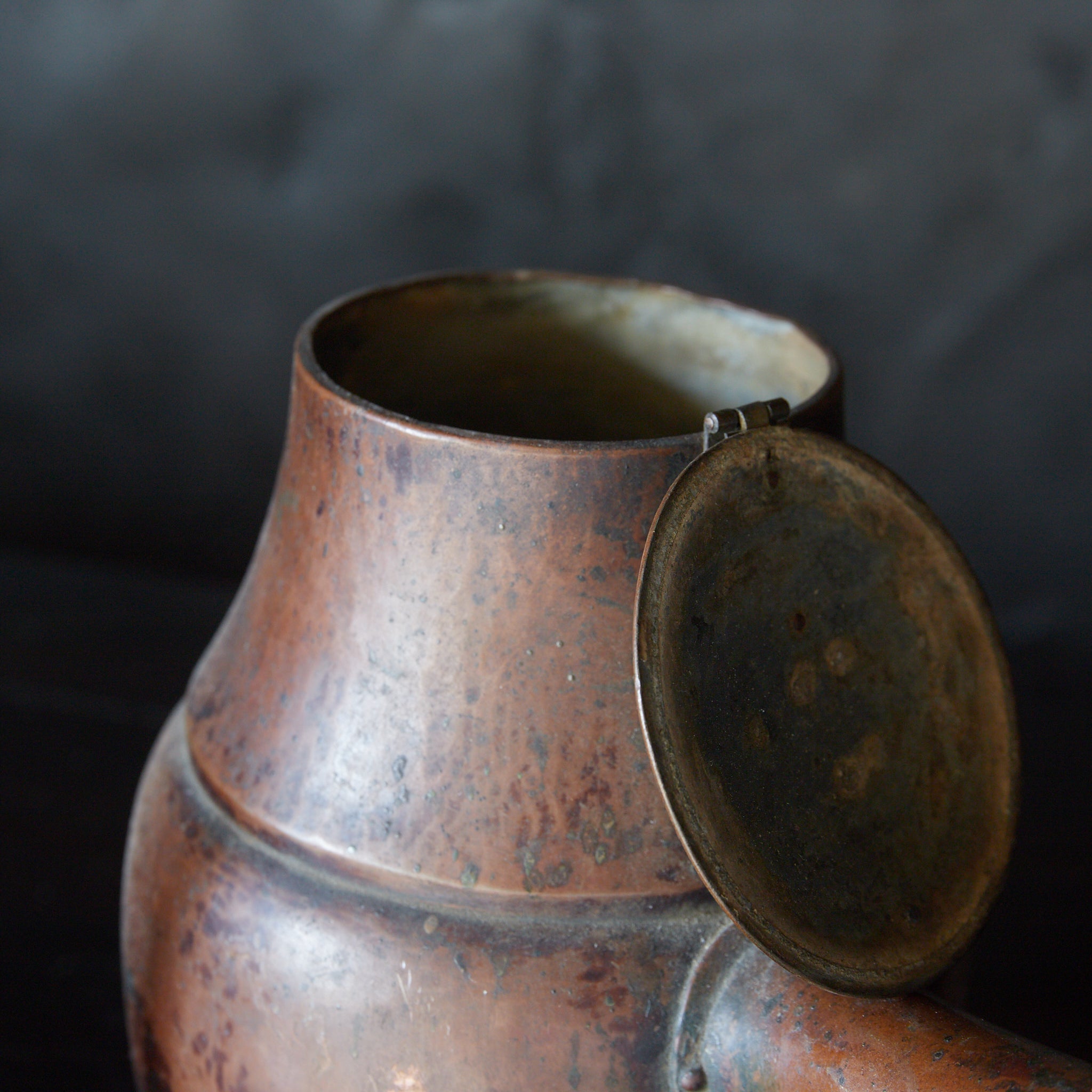 明治 古銅水注（1868–1912CE） | 入蘆花（ロカニイル）