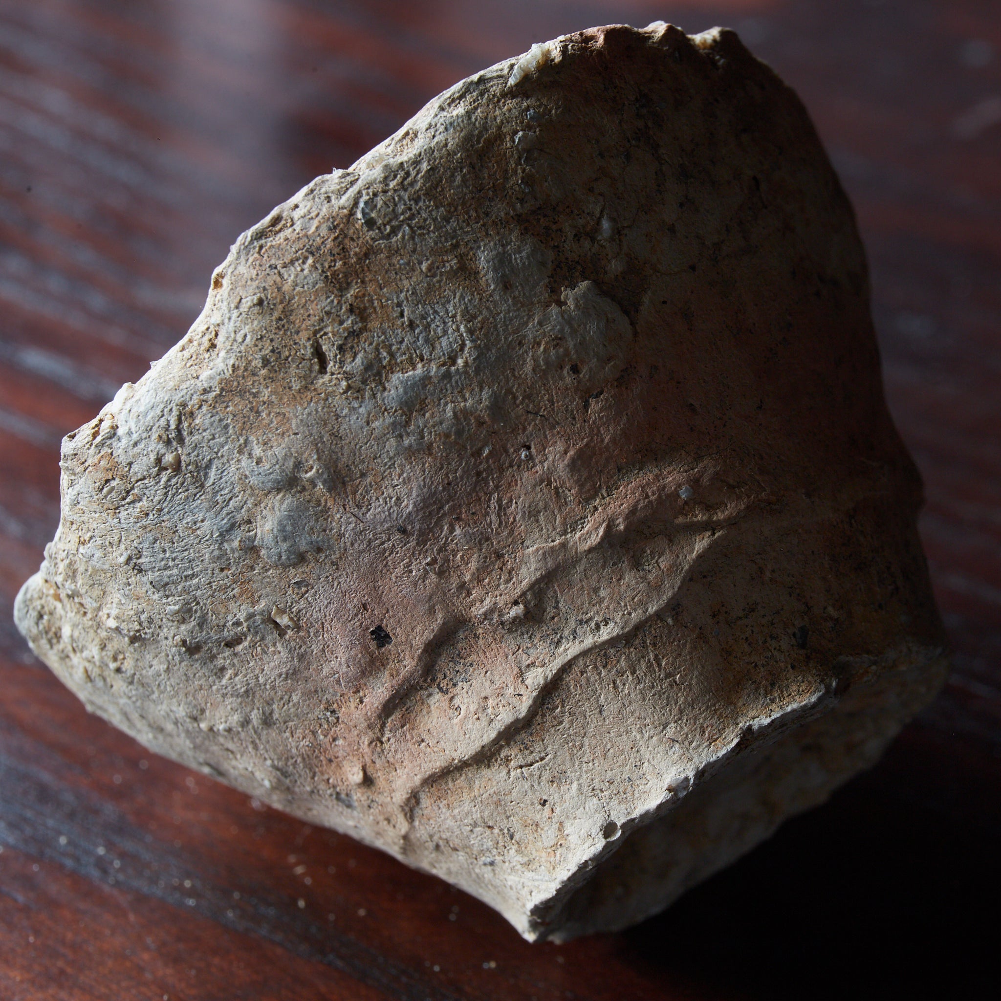 COPPA, Terracotta, Periodo Jomon（10000–300 a.C.）
