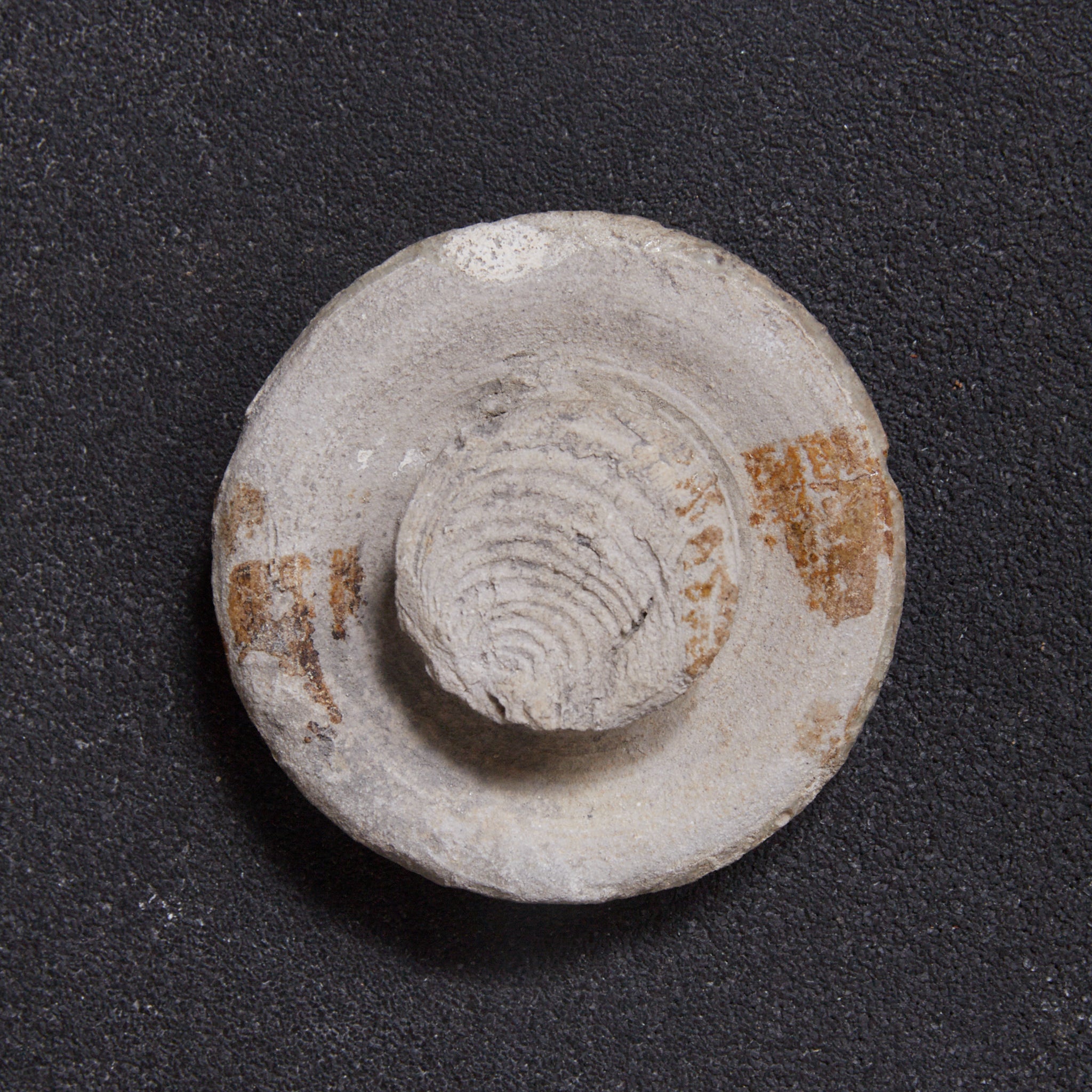 KLEINE DECKELDOSE, Ko-Seto, Kamakura-Zeit（1185–1333 n. Chr.）