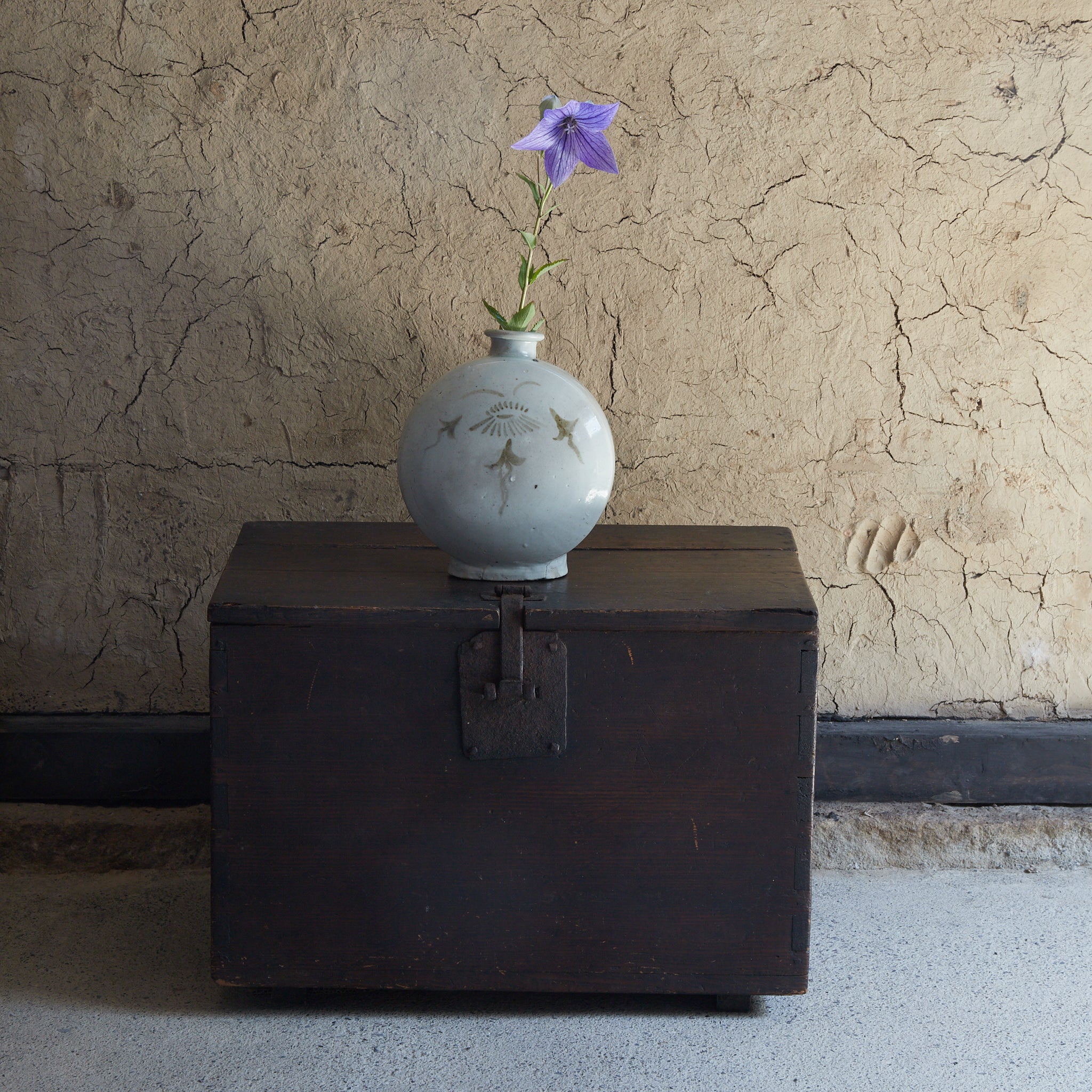 李朝 白磁鉄砂草花文扁壺 木箱付（1392–1897CE） | 入蘆花（ロカニイル）