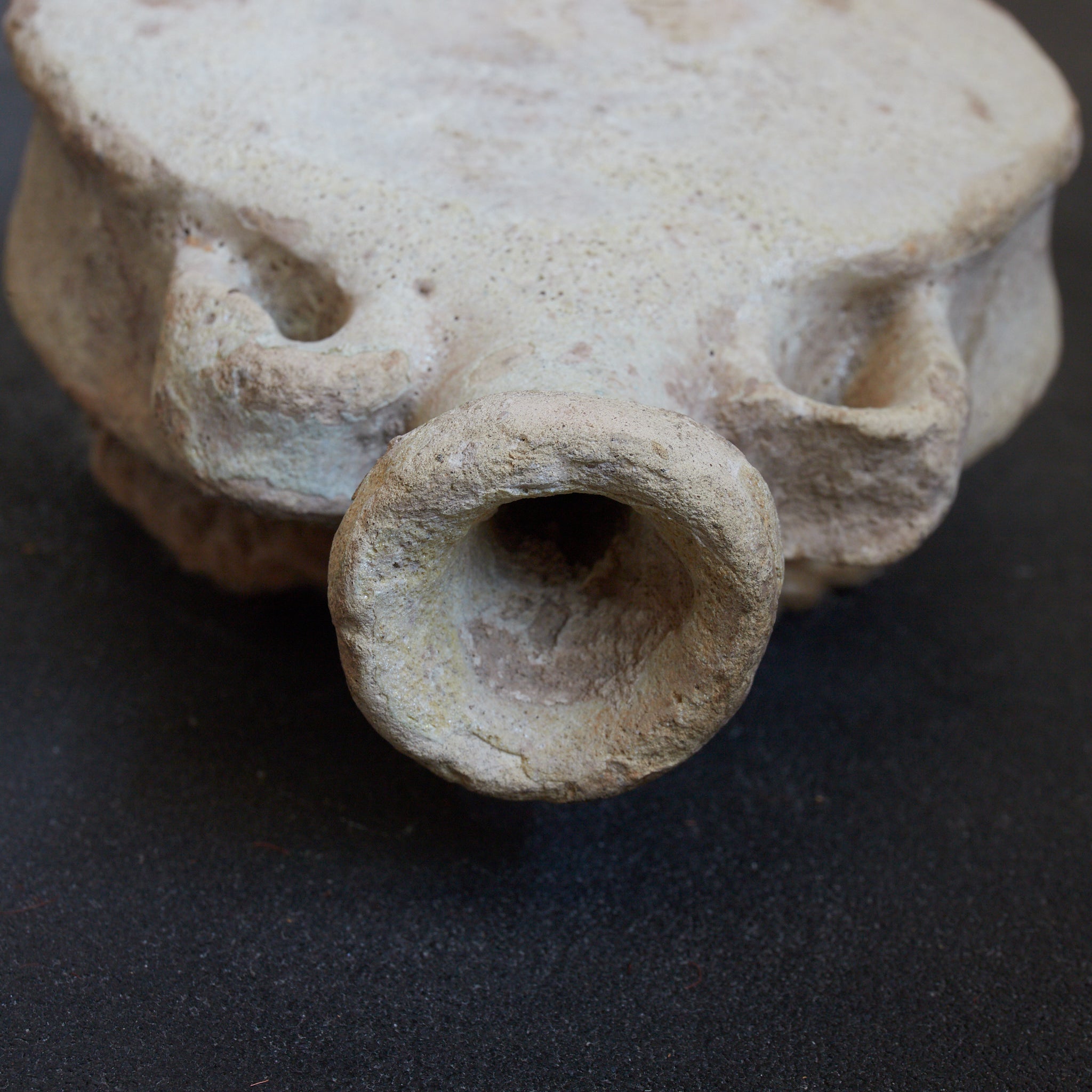 VASE APLATI, Céramique islamique, avec anses, Antiquité (IIIe–XIIe siècle) | Image de détail 12