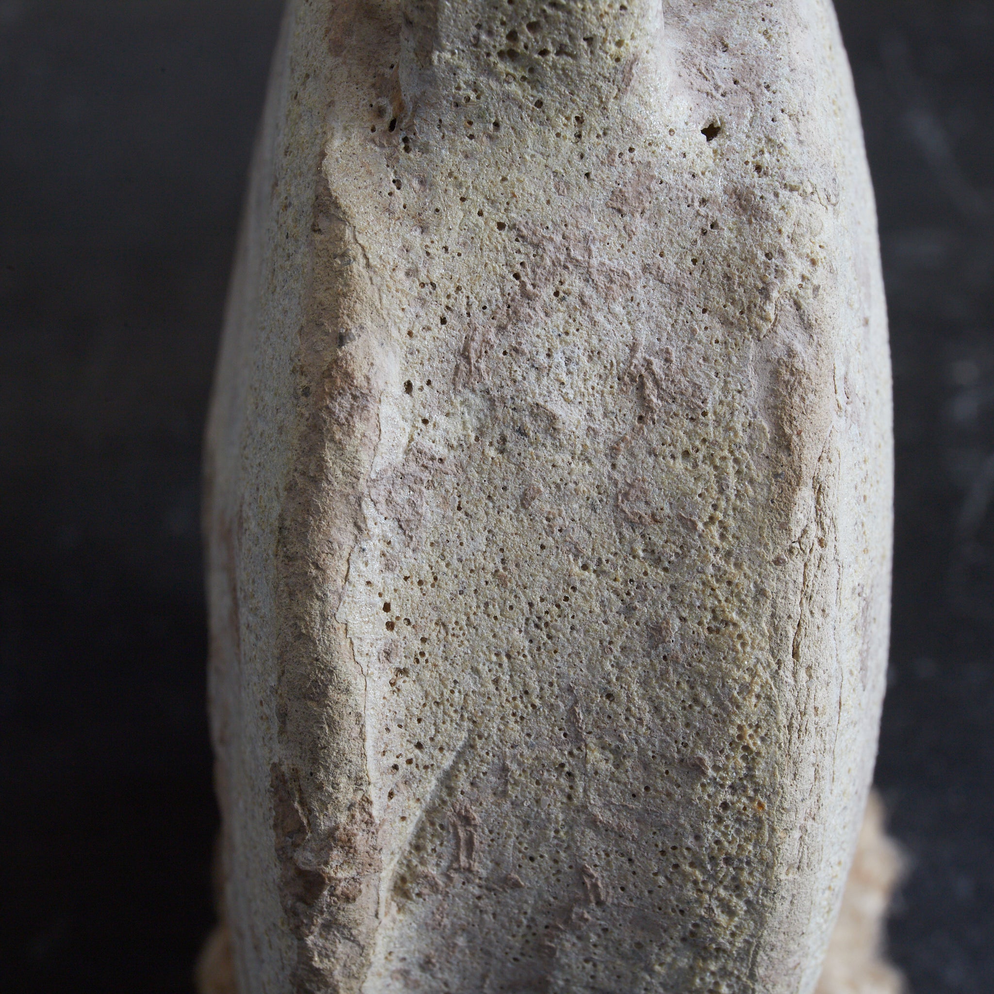 VASE APLATI, Céramique islamique, avec anses, Antiquité (IIIe–XIIe siècle) | Image de détail 25
