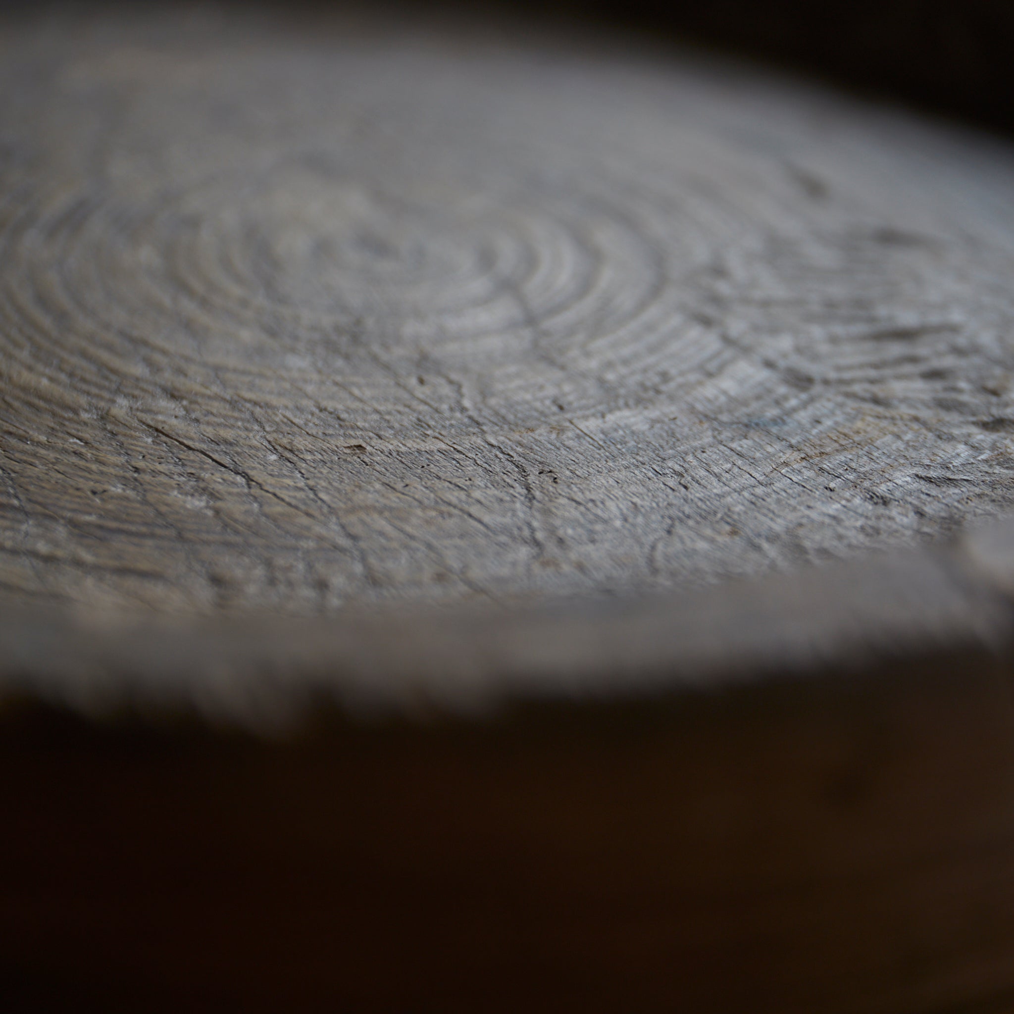 Solid wood hollowed-out tray Edo period/1603-1867CE