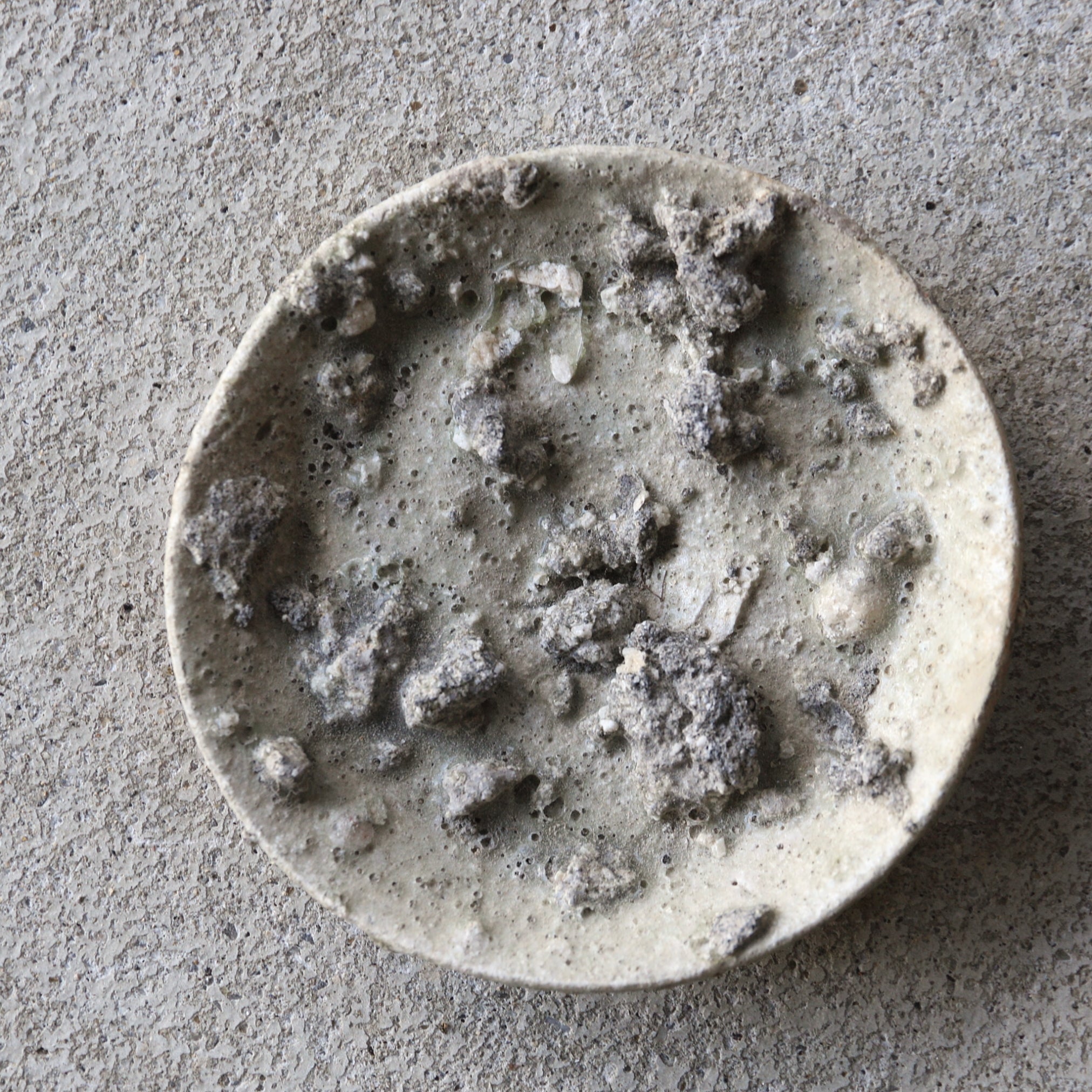 鎌倉時代 古瀬戸 山皿 5客揃（1185–1333 CE） | 入蘆花（ロカニイル）