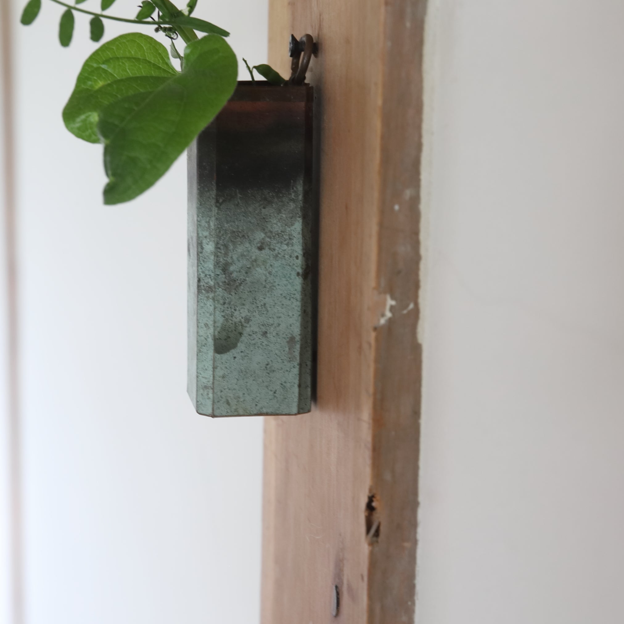 古銅板の掛け花入 | 入蘆花（ロカニイル）