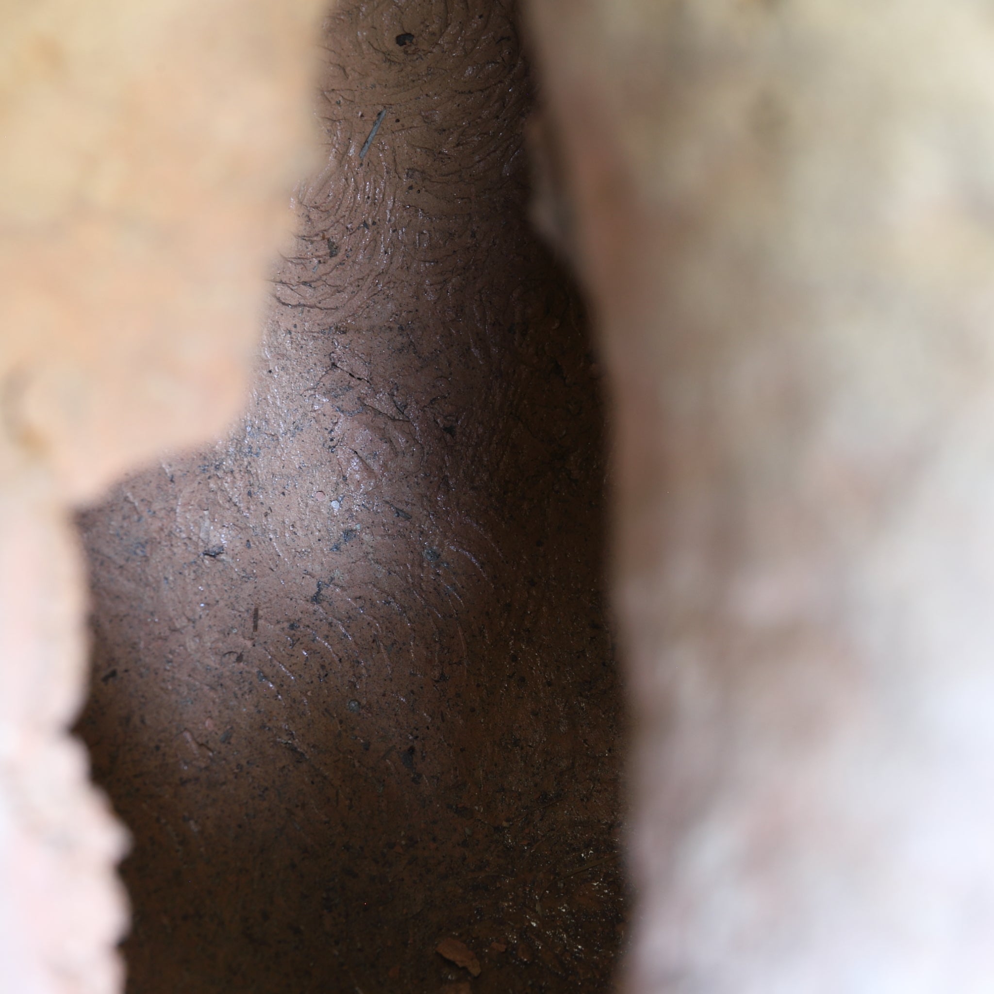 Exploded Pottery Jar, Details Unknown