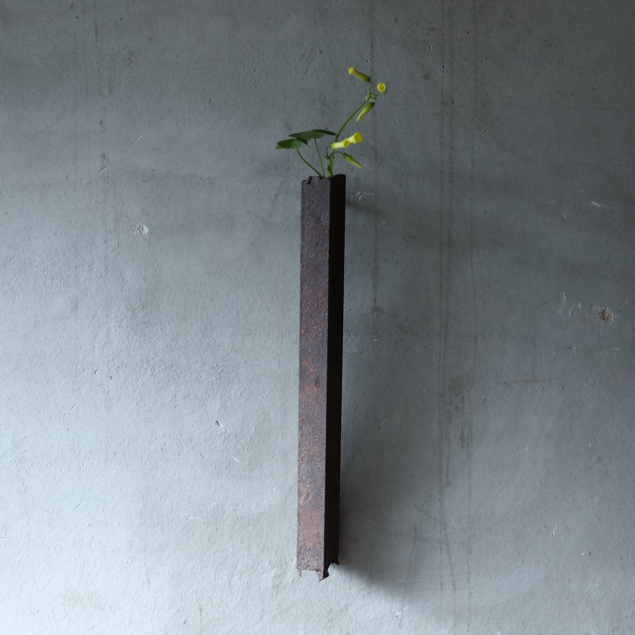 Used iron hanging vase