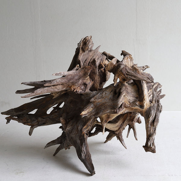 dry driftwood object