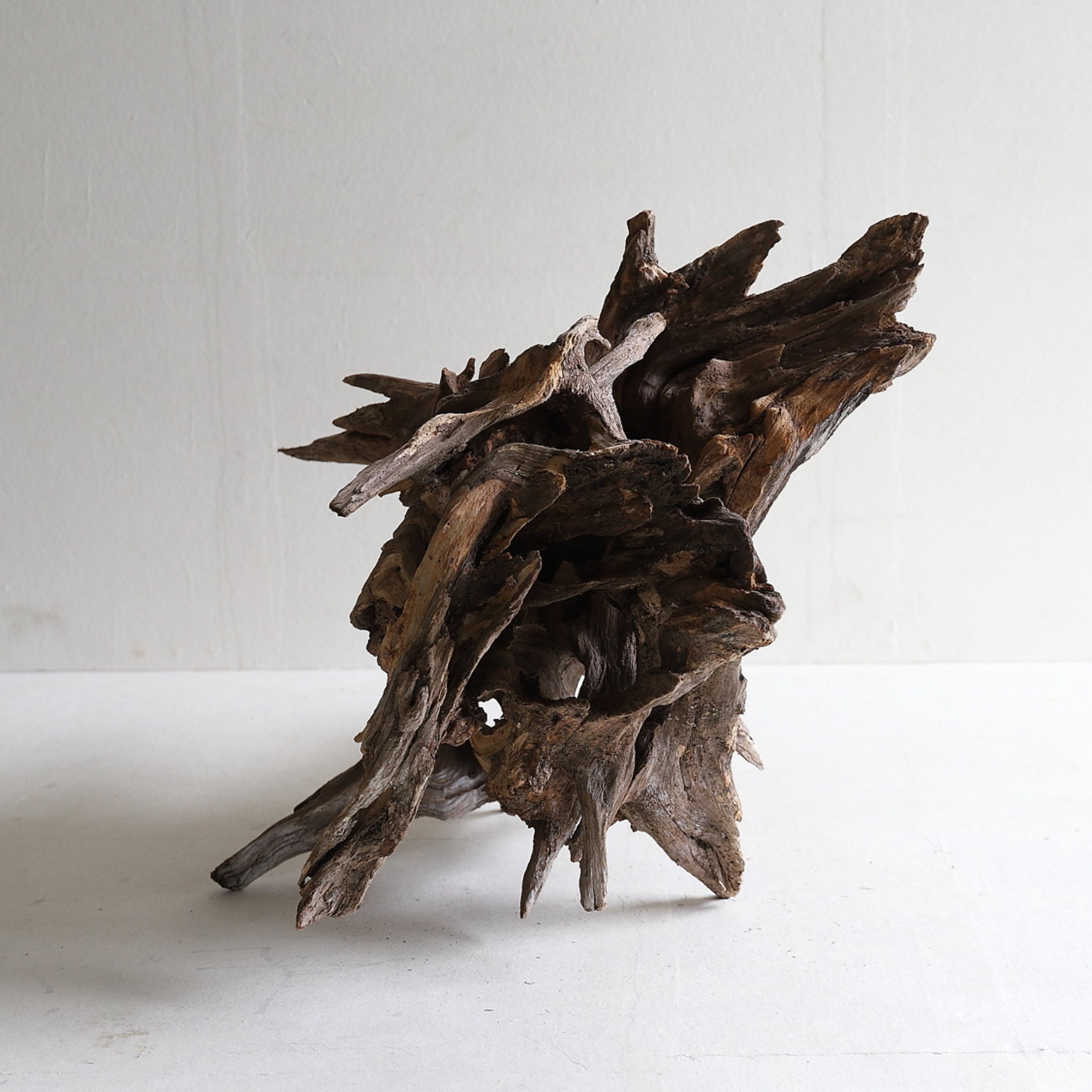 dry driftwood object