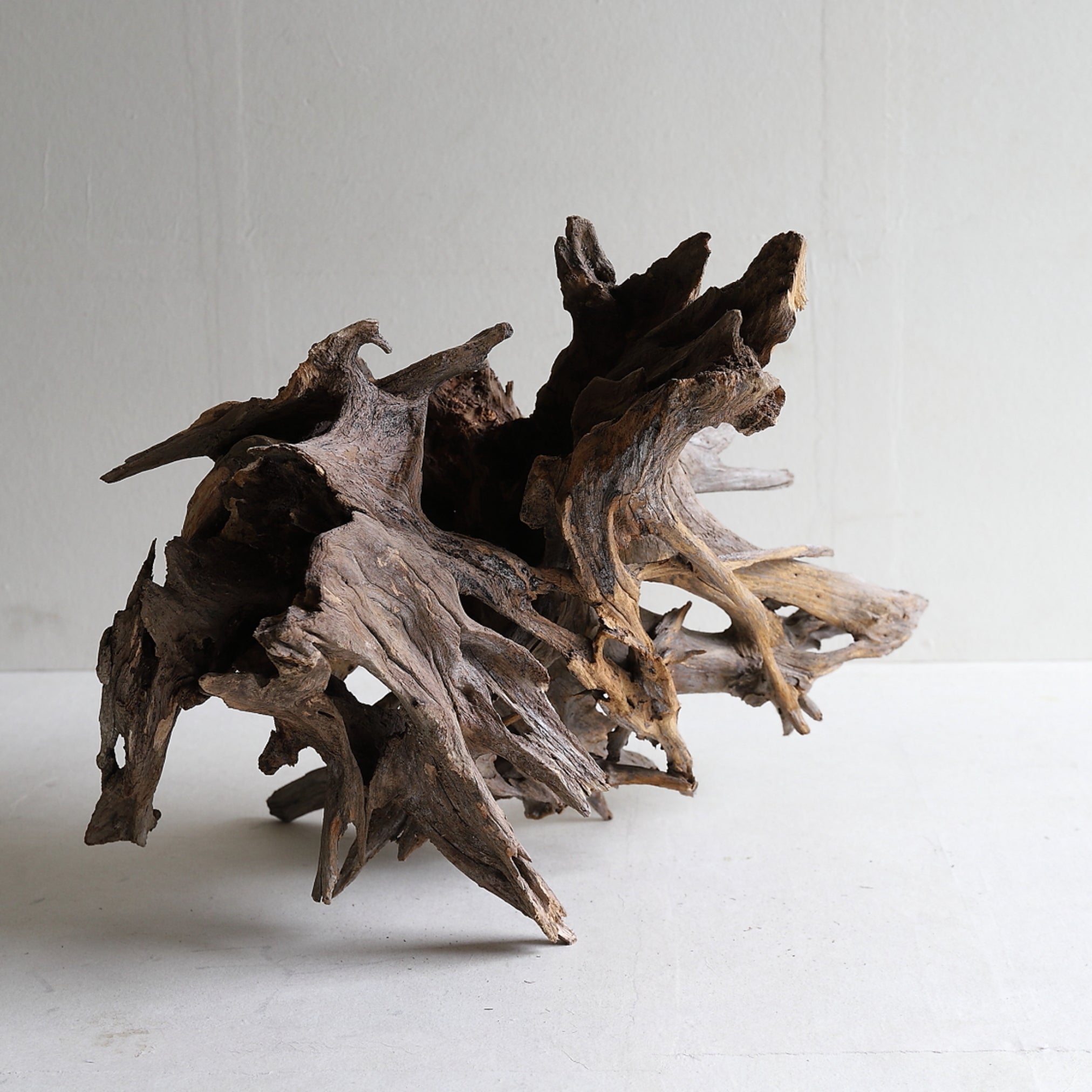 dry driftwood object