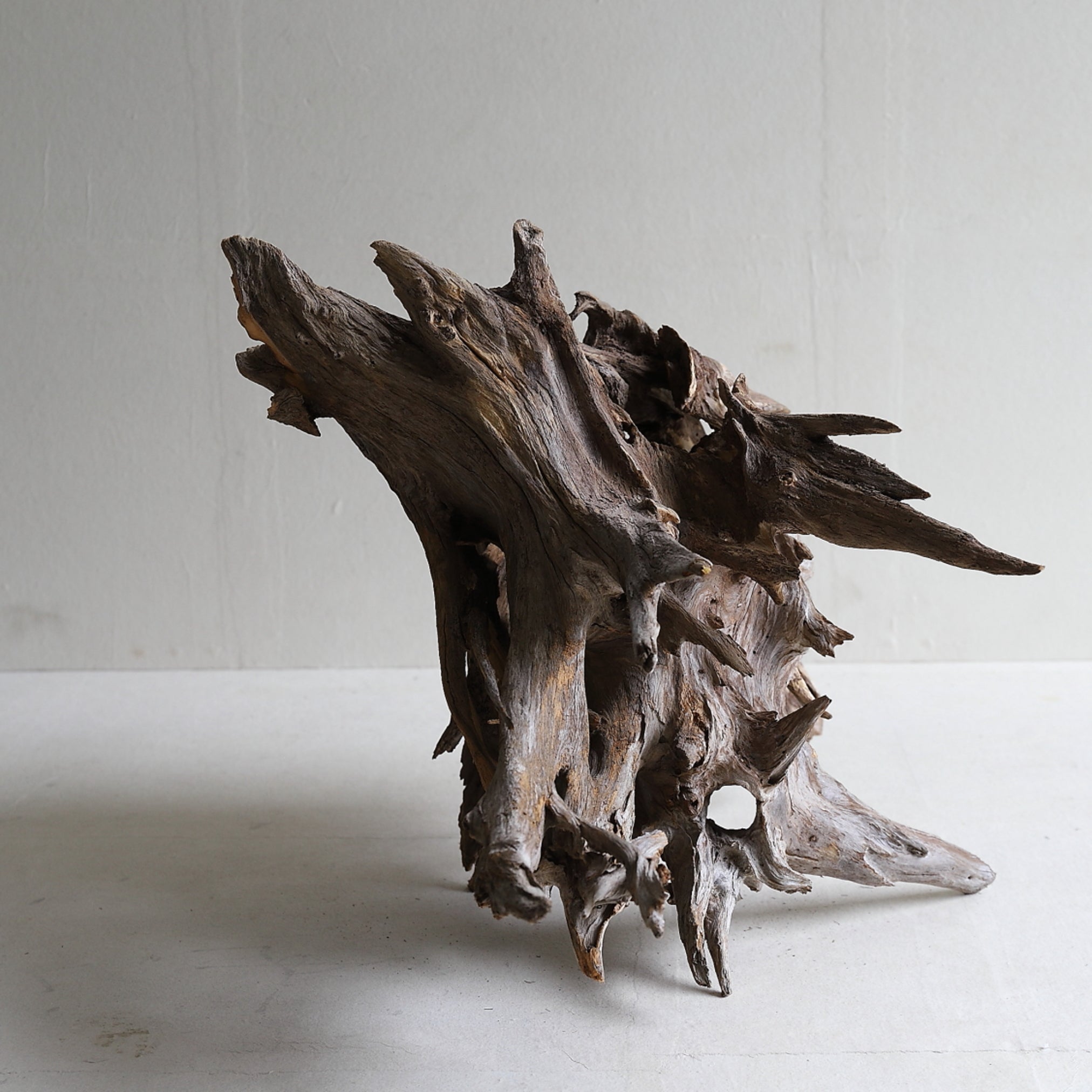 dry driftwood object