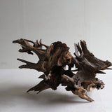 dry driftwood object